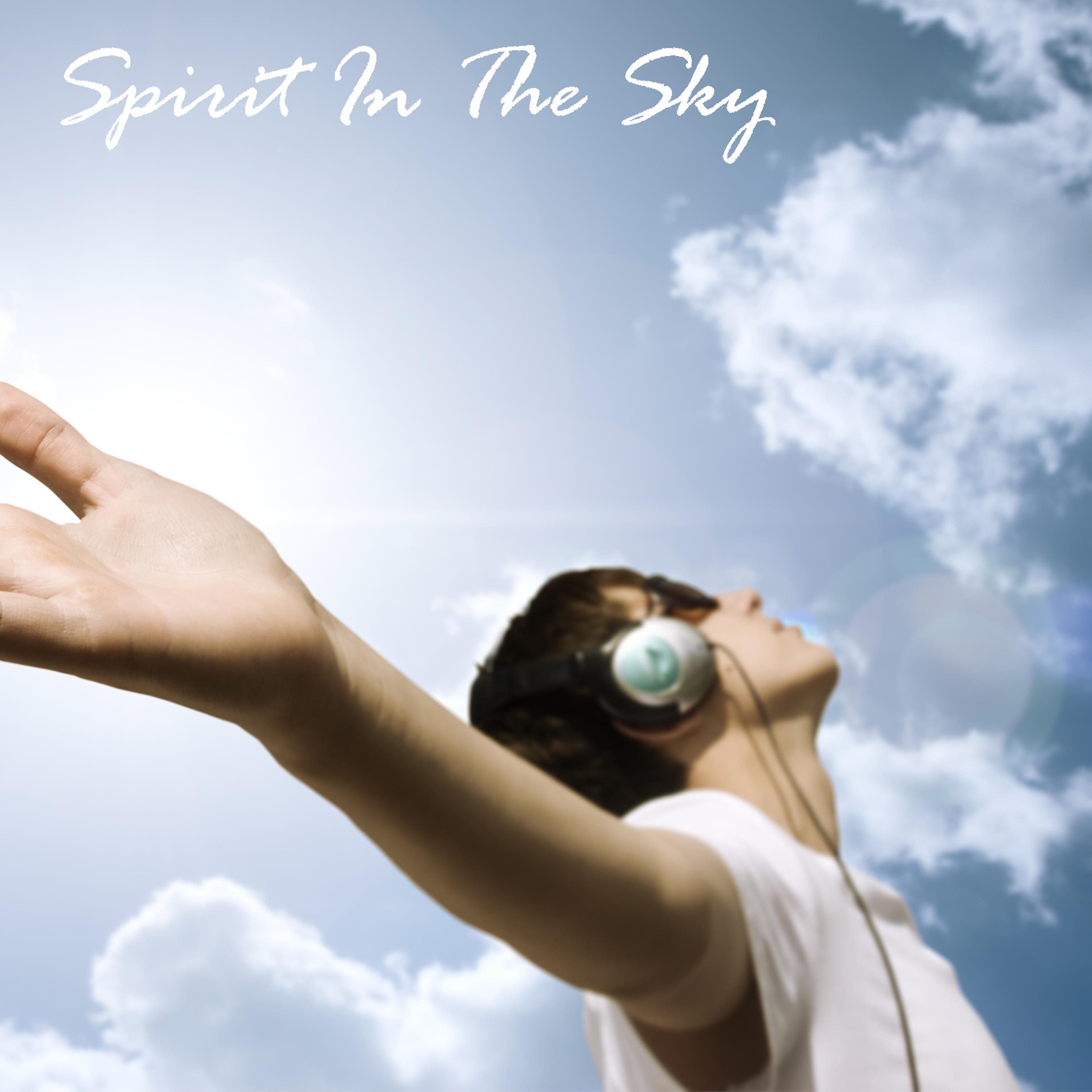 Постер альбома Spirit In The Sky