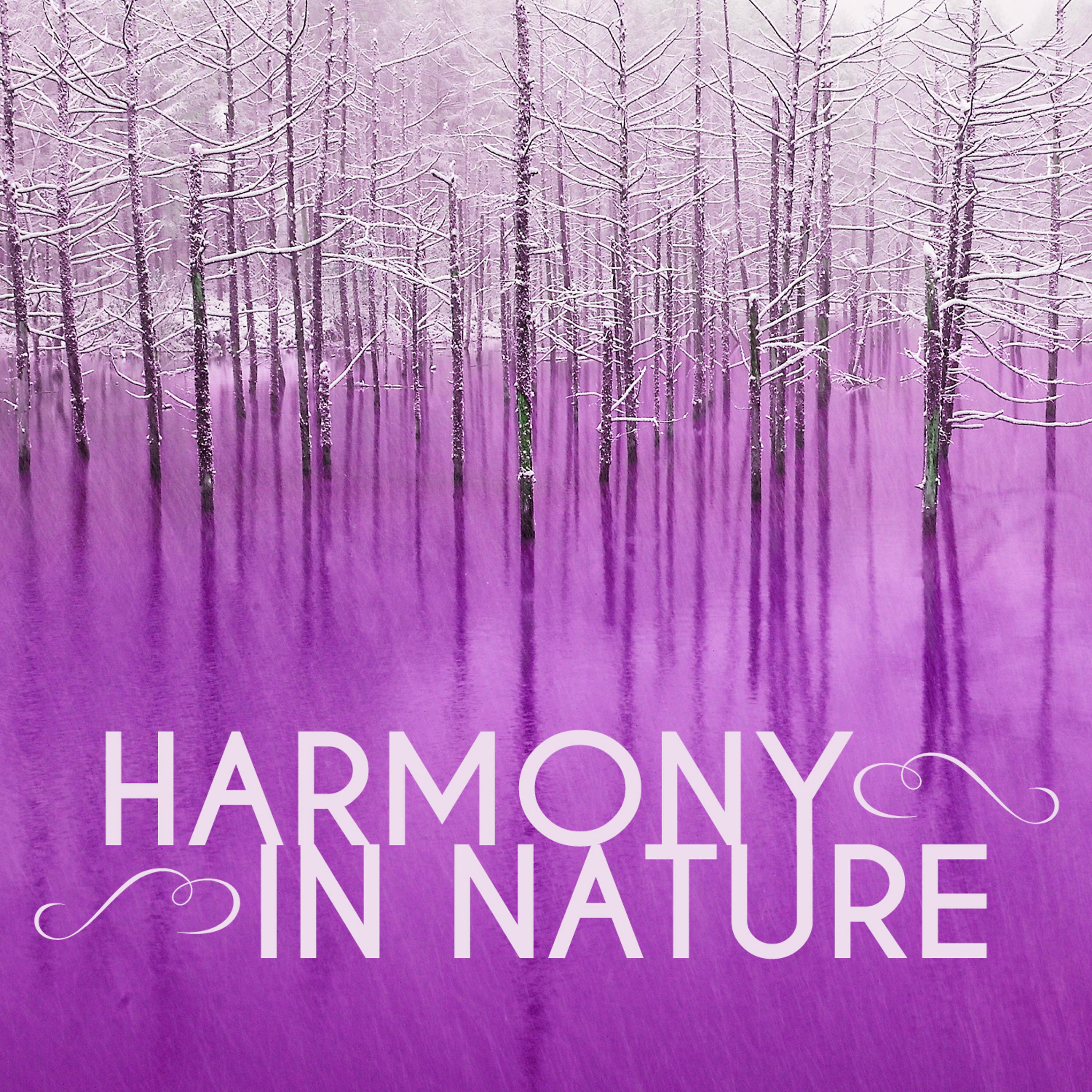 Постер альбома Harmony in Nature