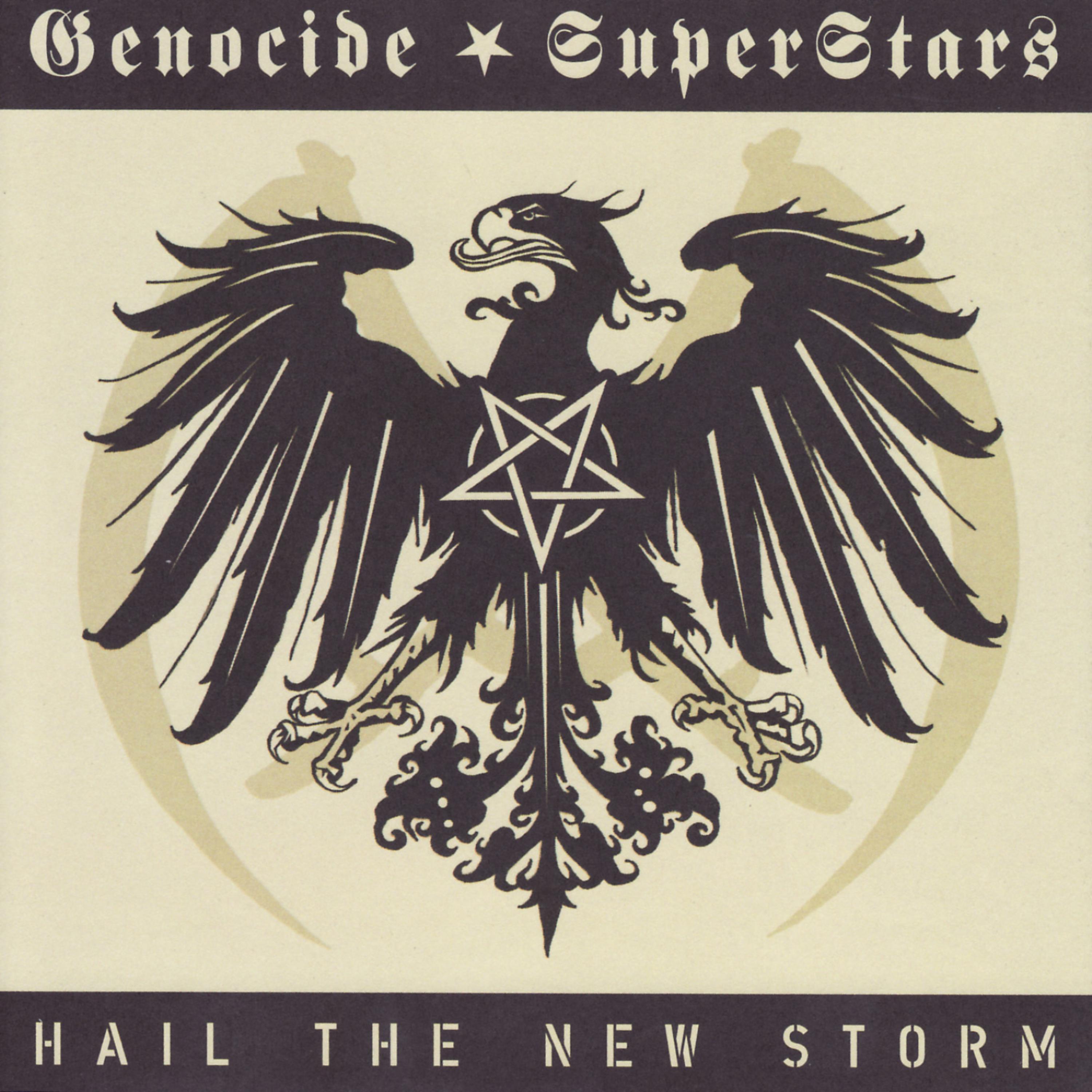 Постер альбома Hail the New Storm
