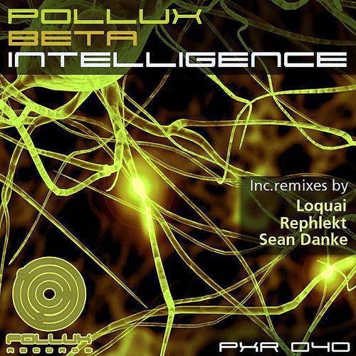 Pollux Beta - Intelligence (Loquai Remix)