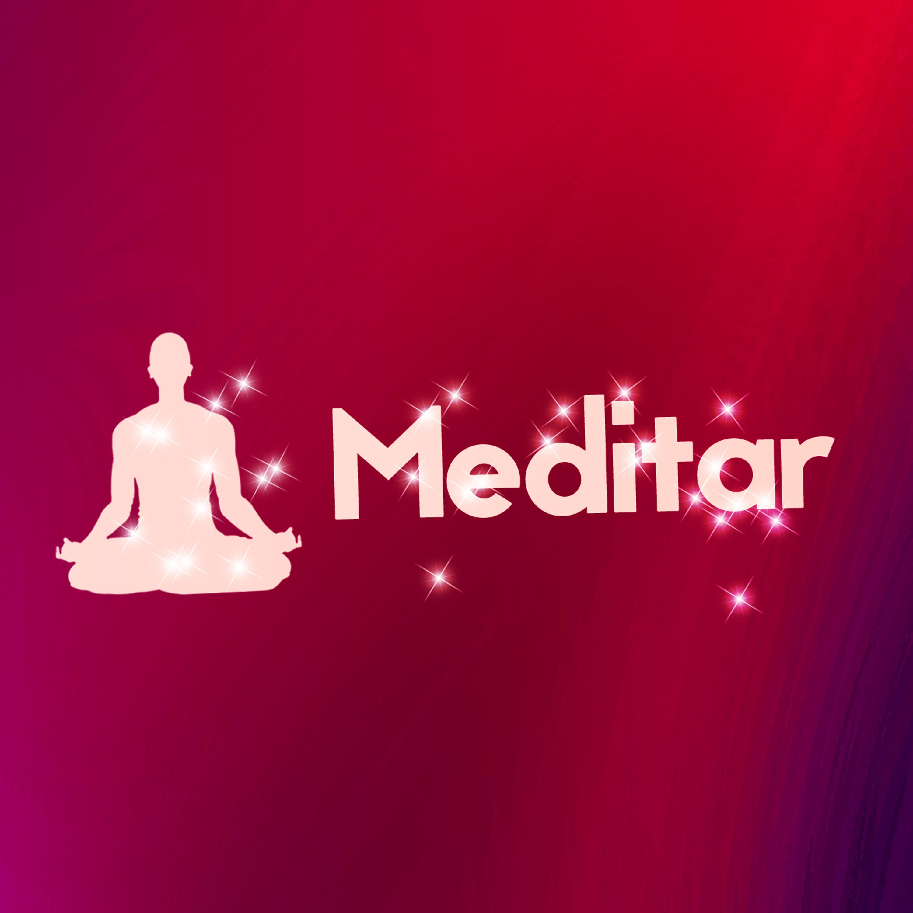 Постер альбома Meditar