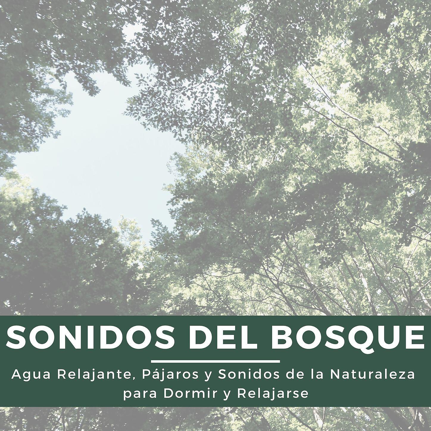Maria Sonrisa - Sistema Solar