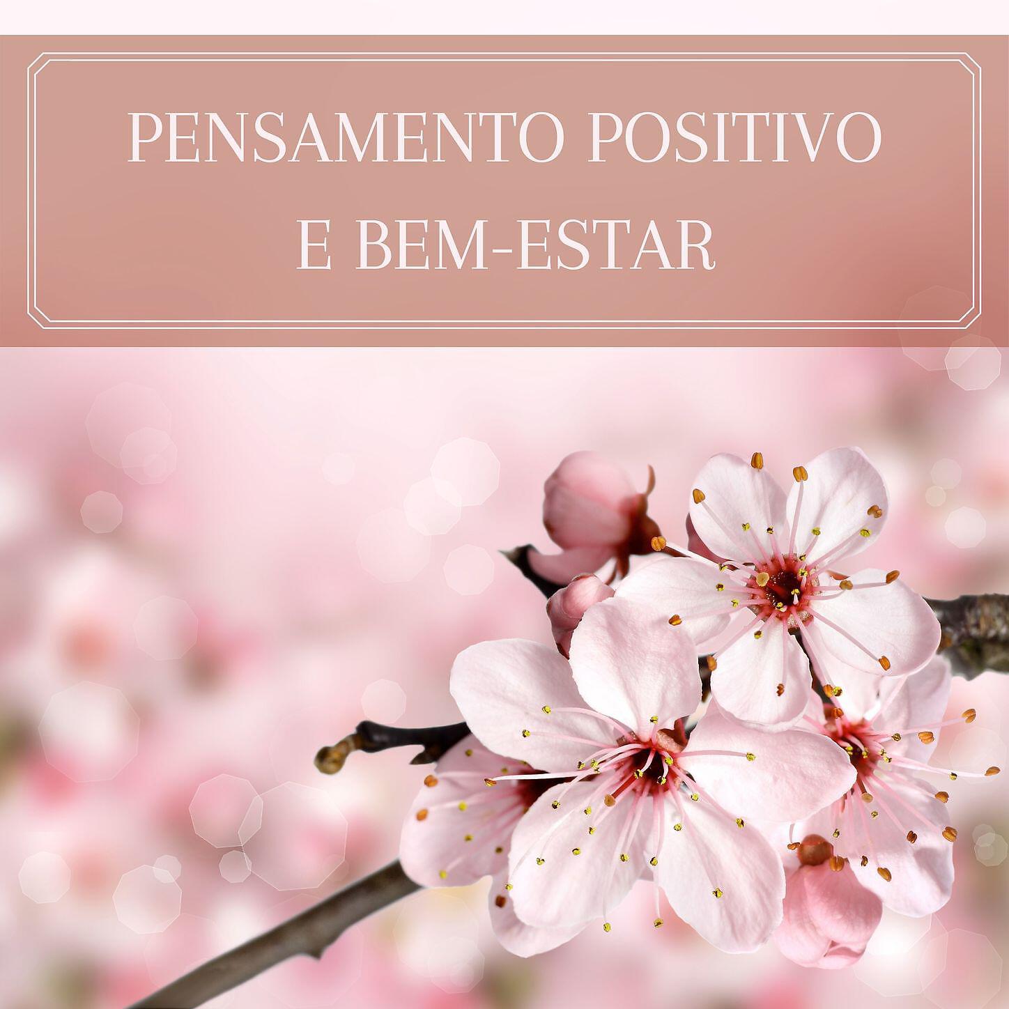 Maria Sol Feliz Pereira - Numa Direção Positiva