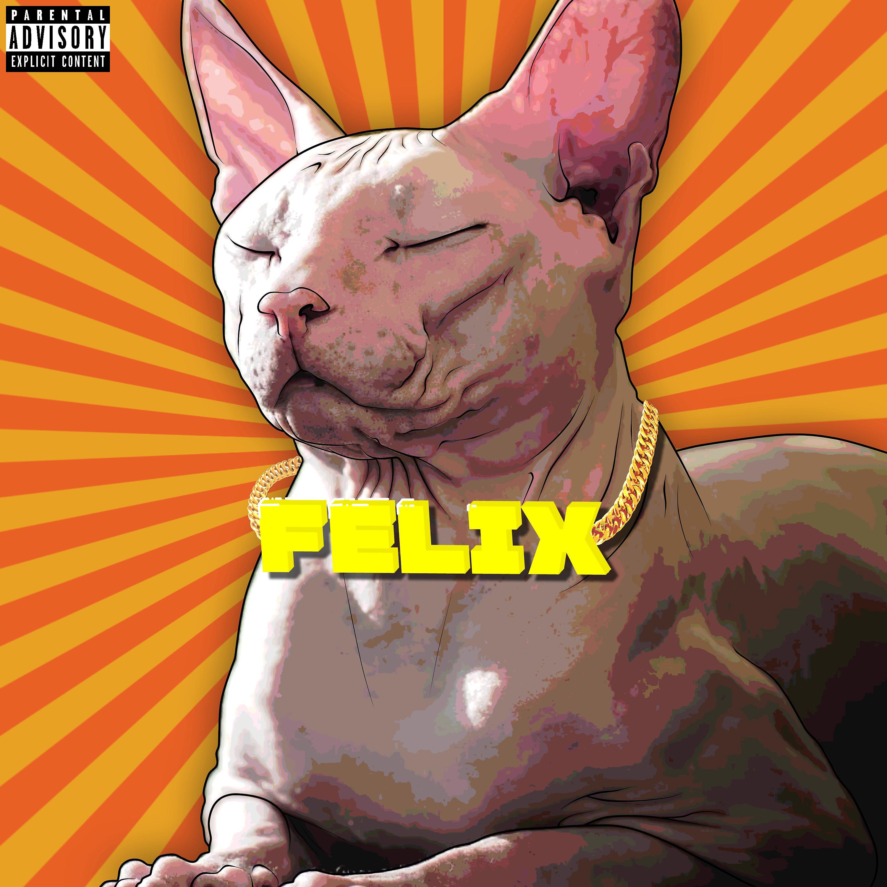 Постер альбома FELIX [Prod. by Senix]