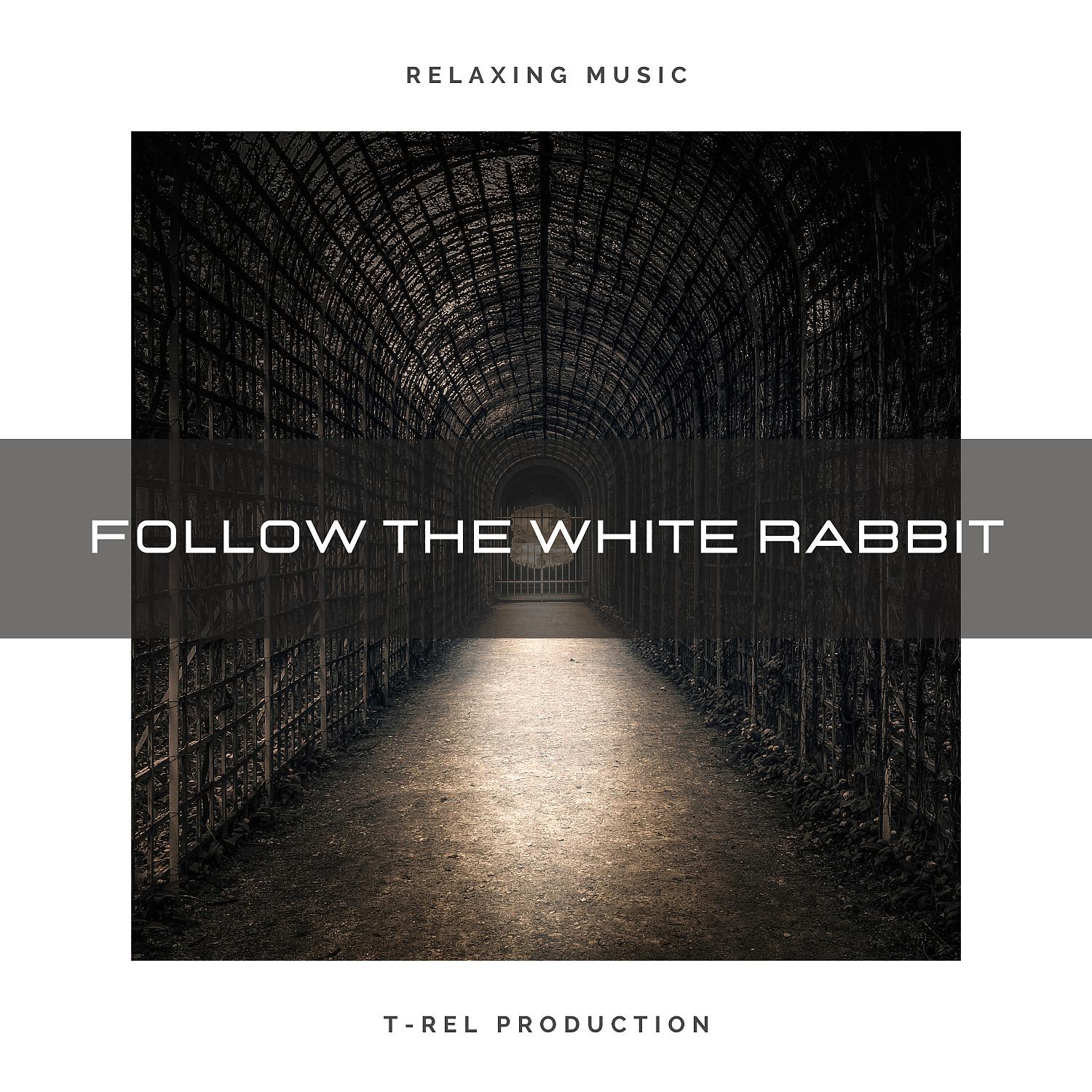 Постер альбома Follow The White Rabbit