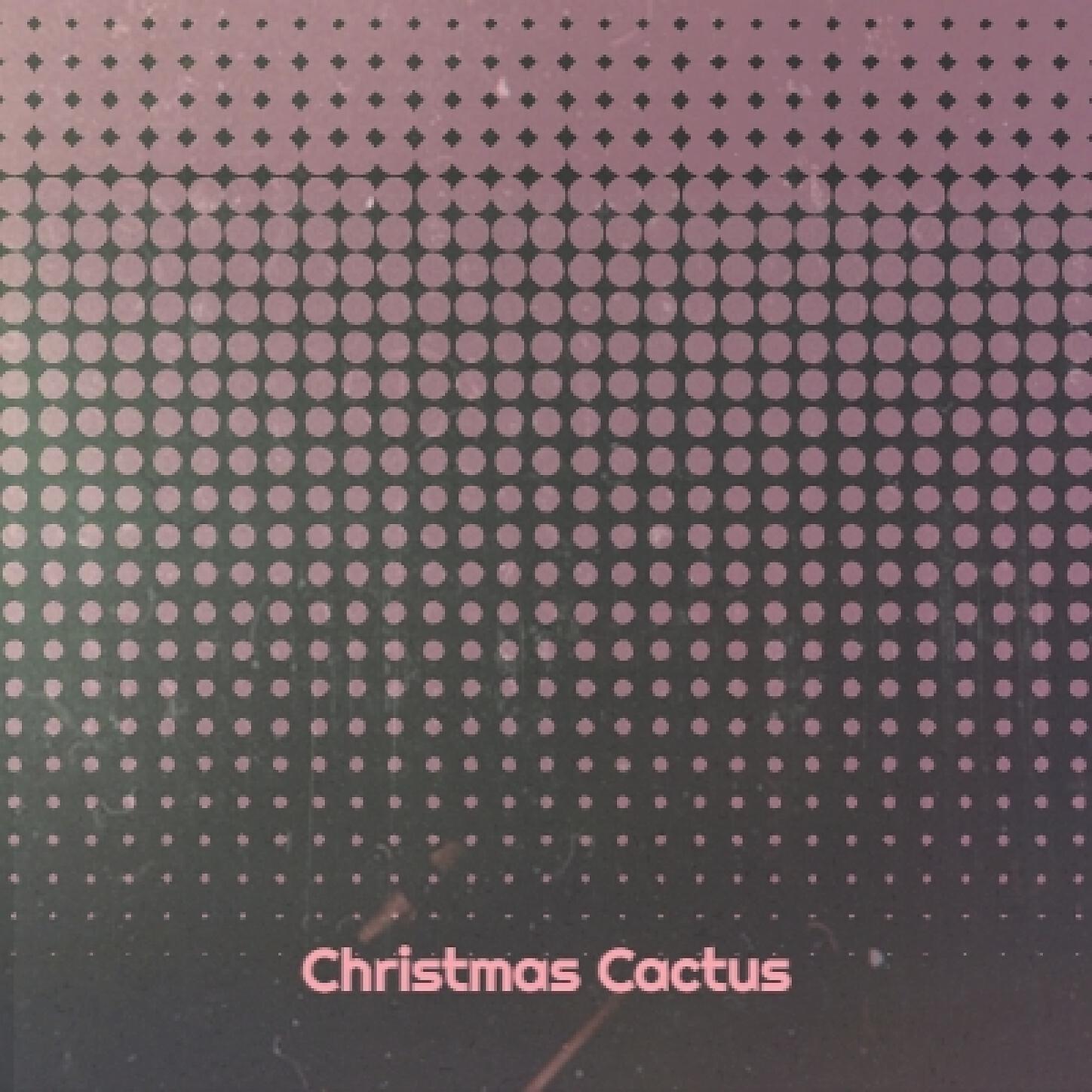 Katey Laurel - Christmas Cactus