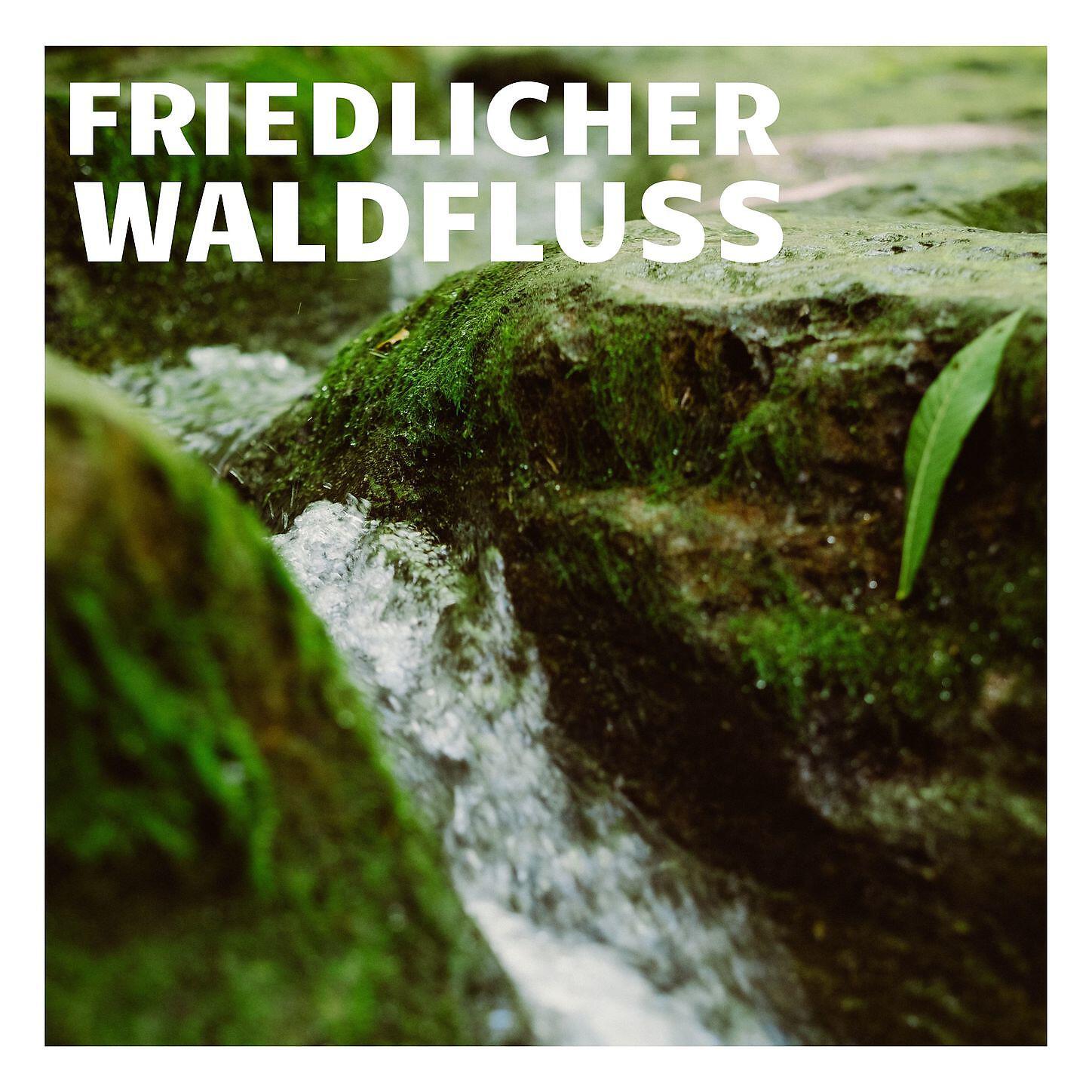 Schlaflieder Baby - Reflexion