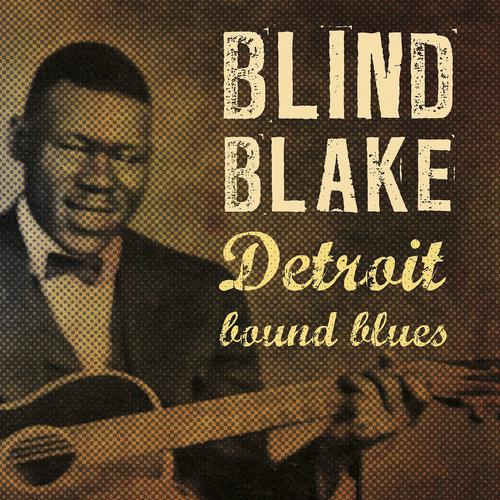 Постер альбома Detroit Bound Blues