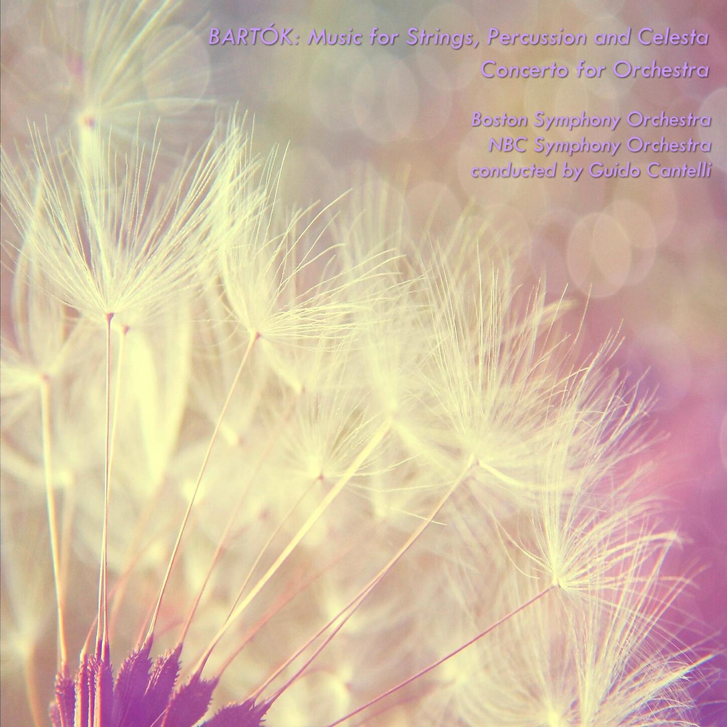 Boston Symphony Orchestra - Bartók: Music for Strings, Percussion and Celesta, Sz.106: II. Allegro