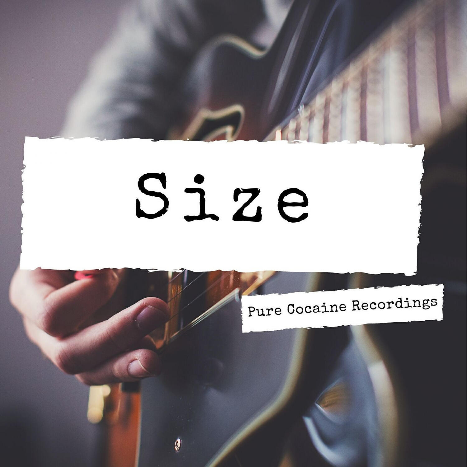 Federico Gava - Size