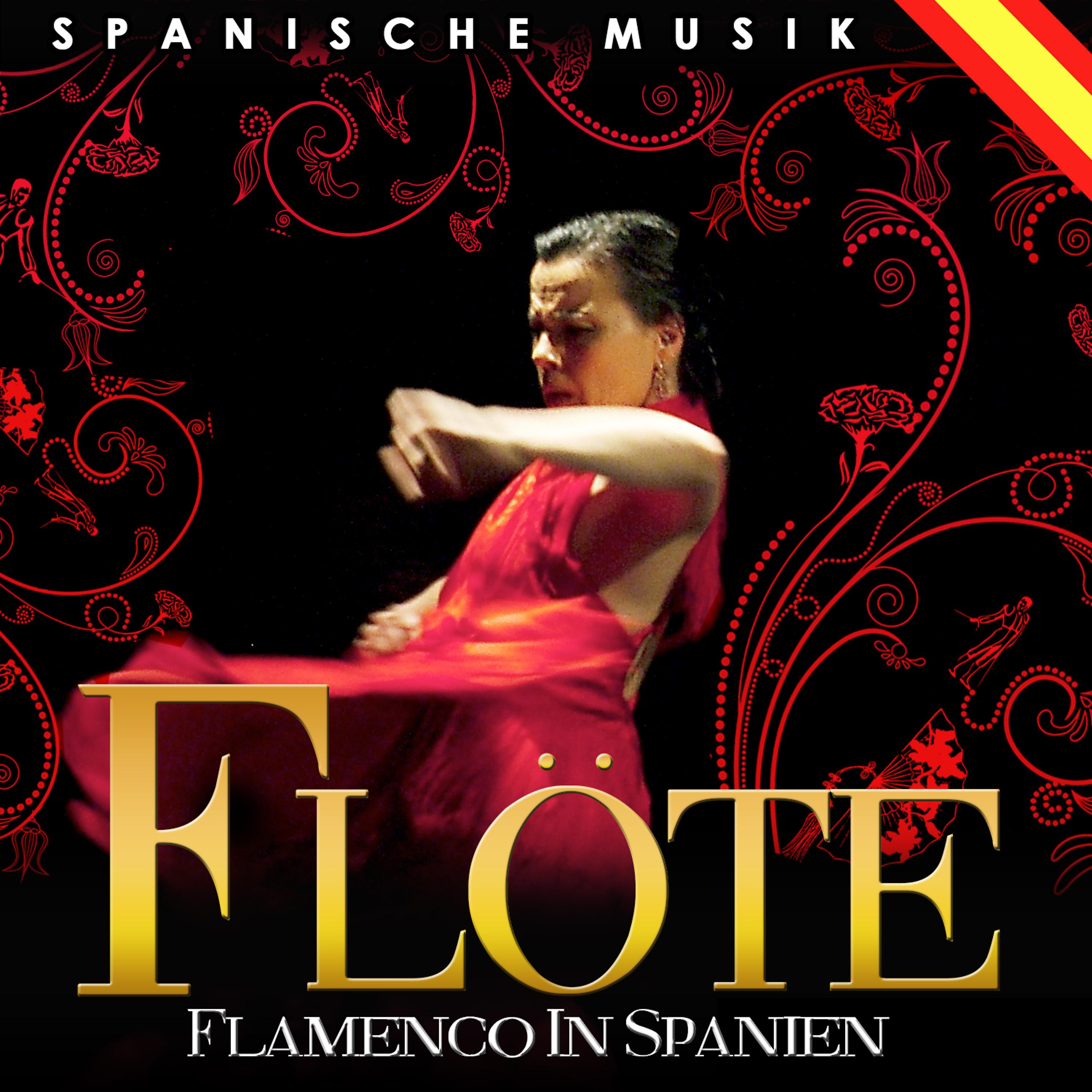 Постер альбома Spanische Musik. Flotë Flamenco in Spanien