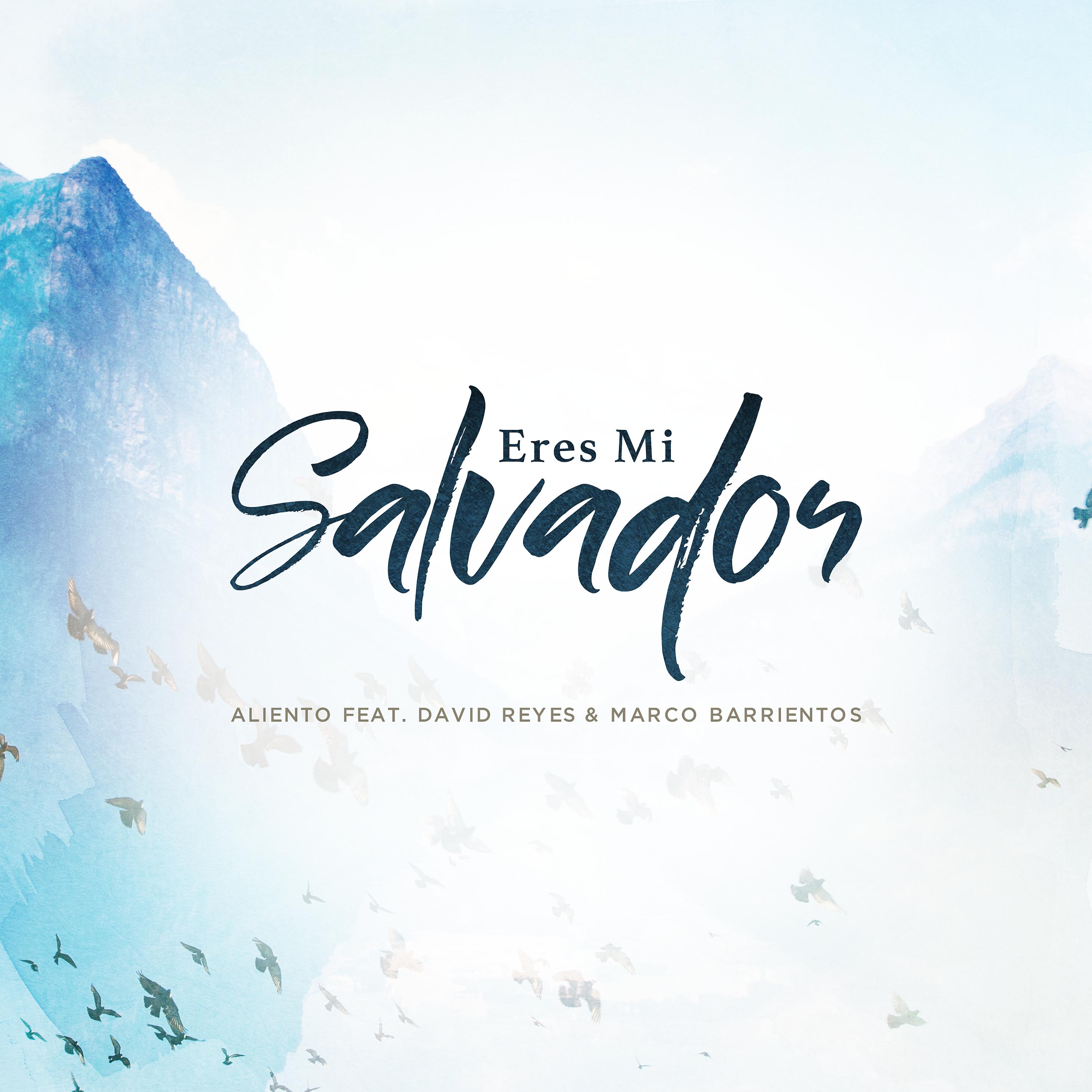 Постер альбома Eres Mi Salvador