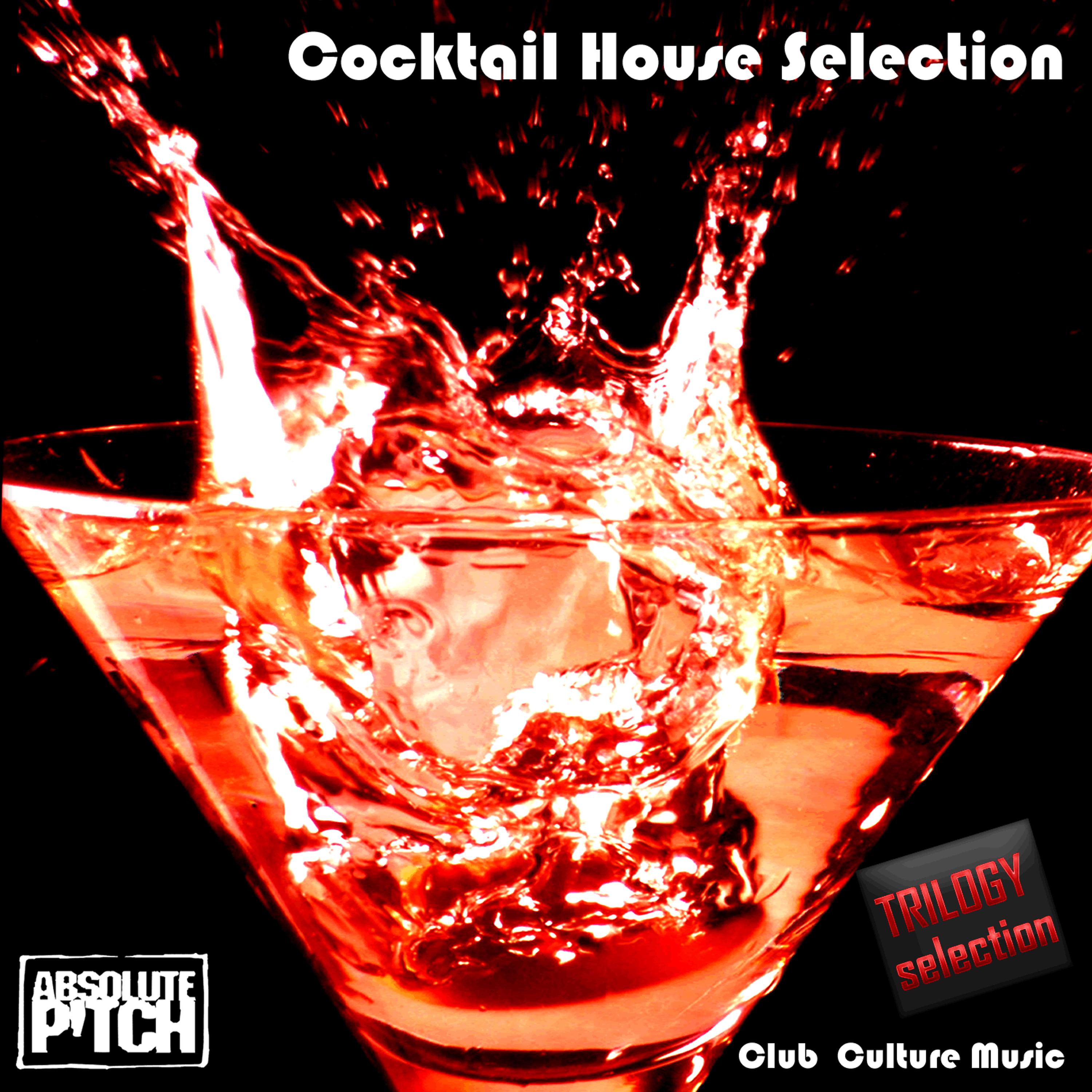 Постер альбома Cocktail House Selection