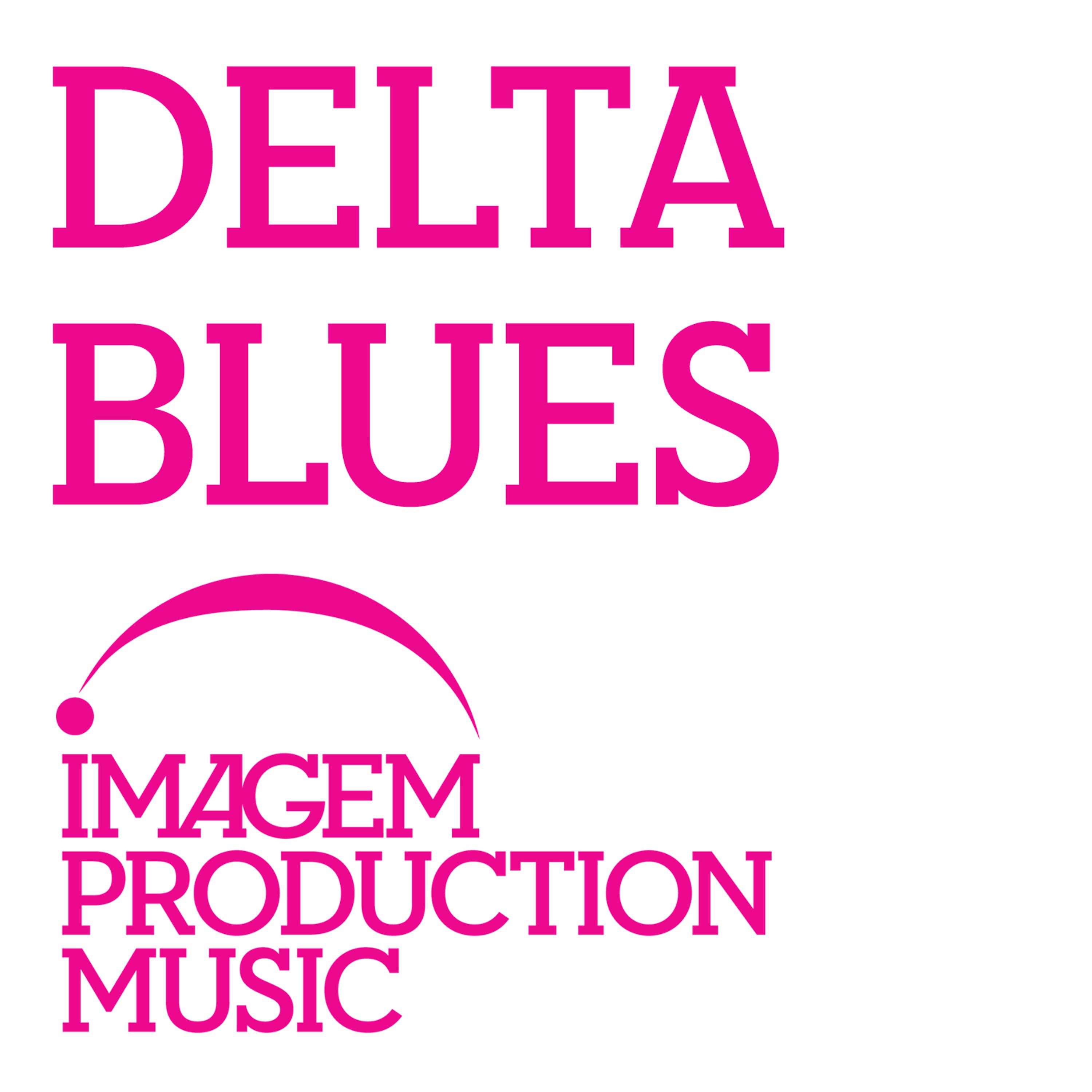 Постер альбома Delta Blues