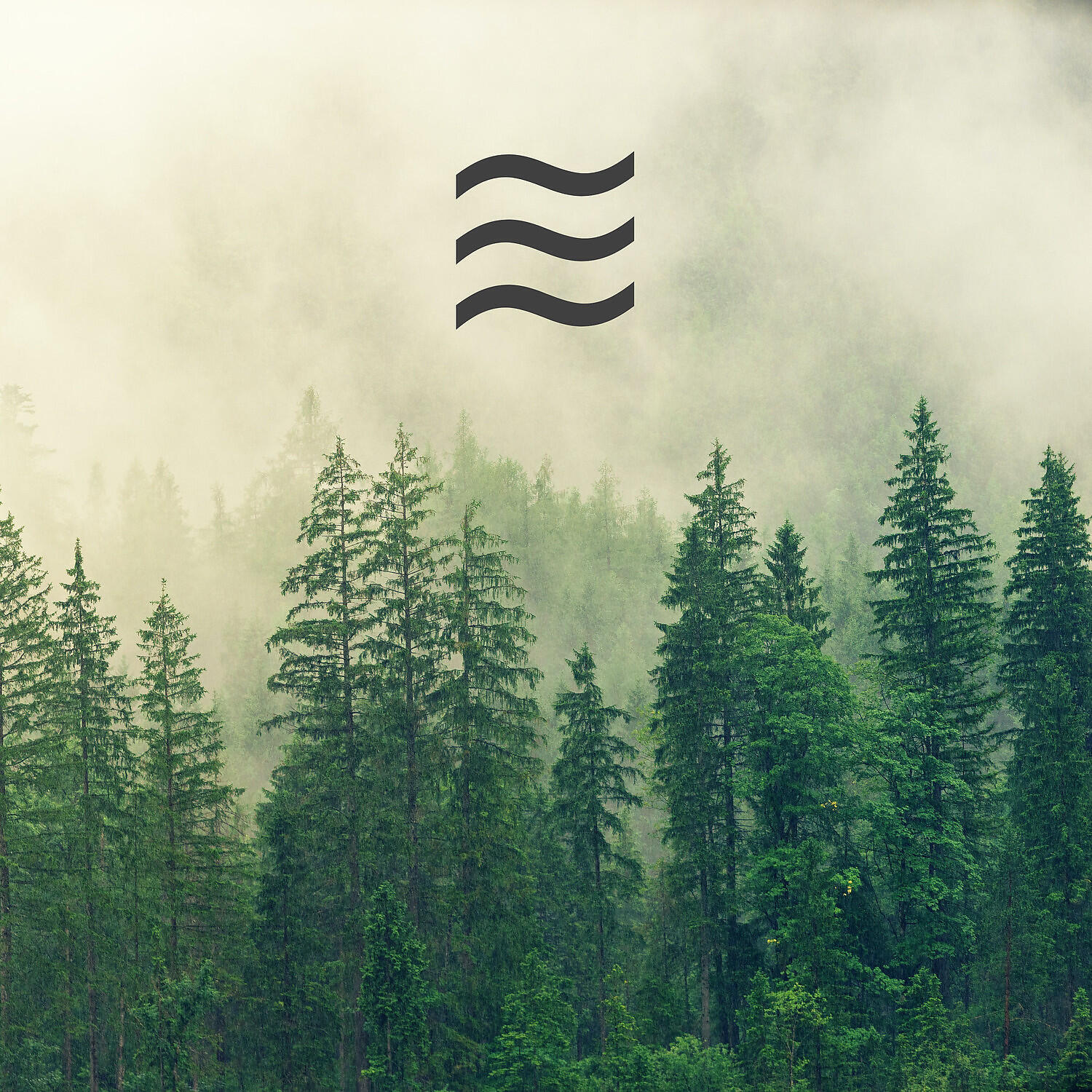 Relaxation Raining Noises - Shushing Noises of Rain