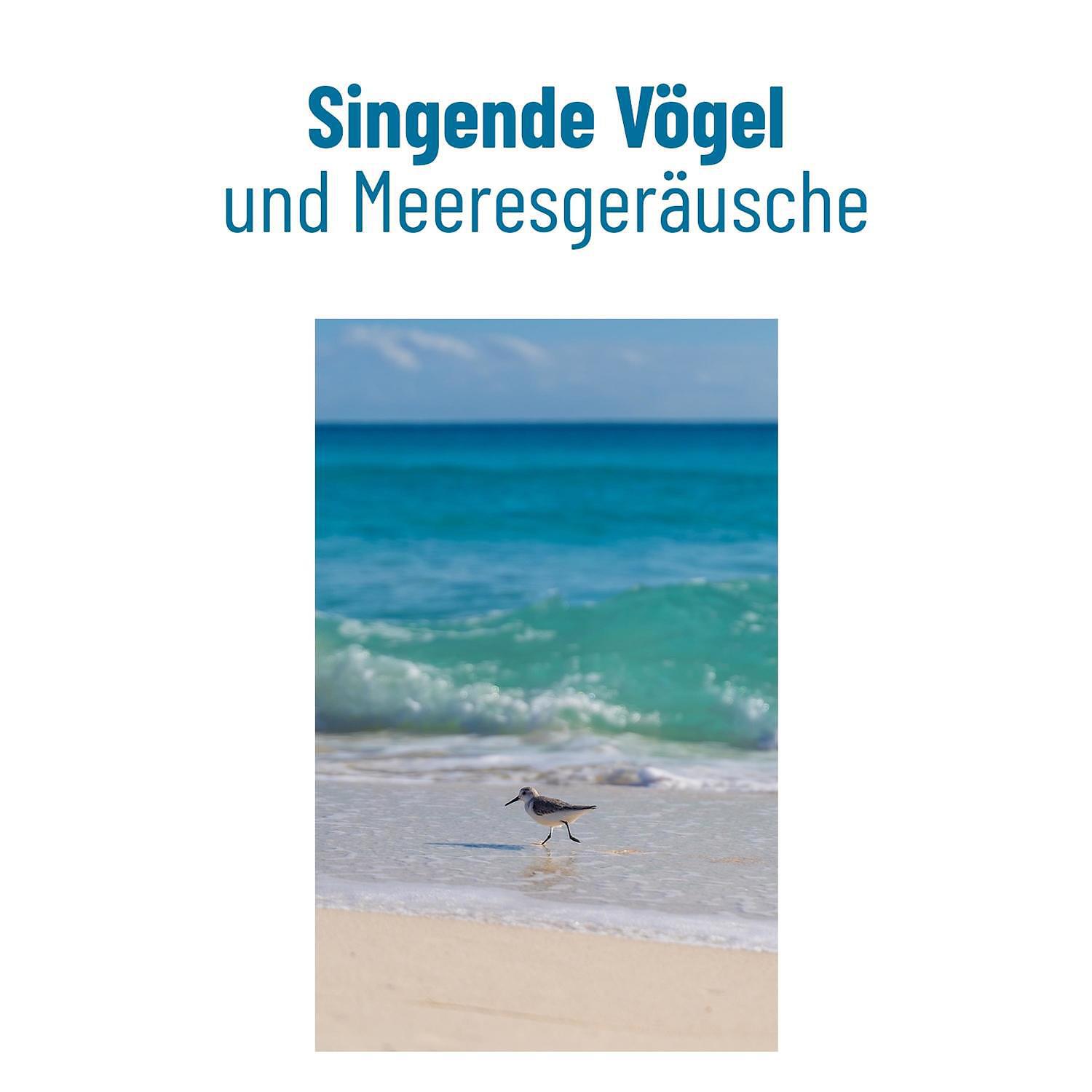 RW Klavier, Vögel und Meeresgeräusche - Klaviermusik und Naturgeräusche (ruhige Wellen)