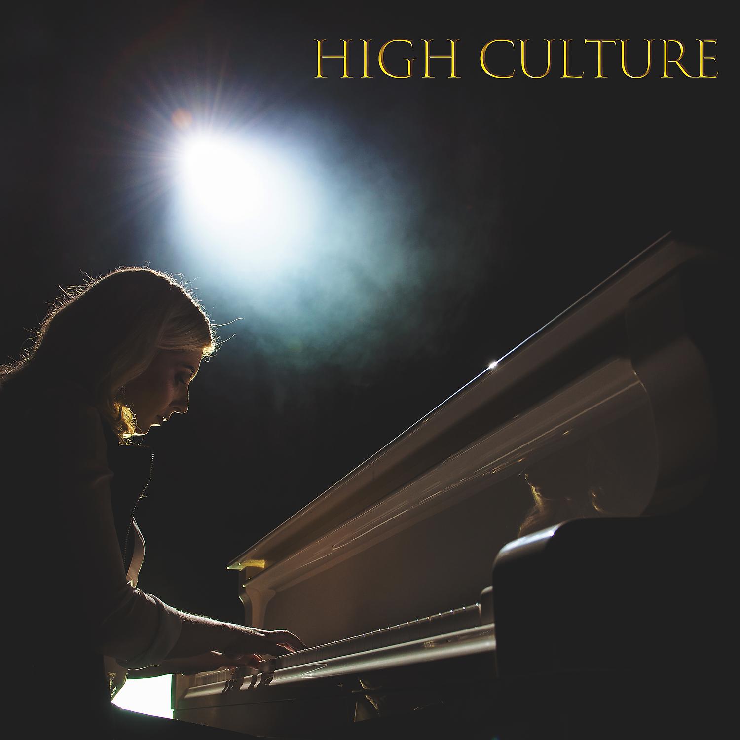 Постер альбома High Culture
