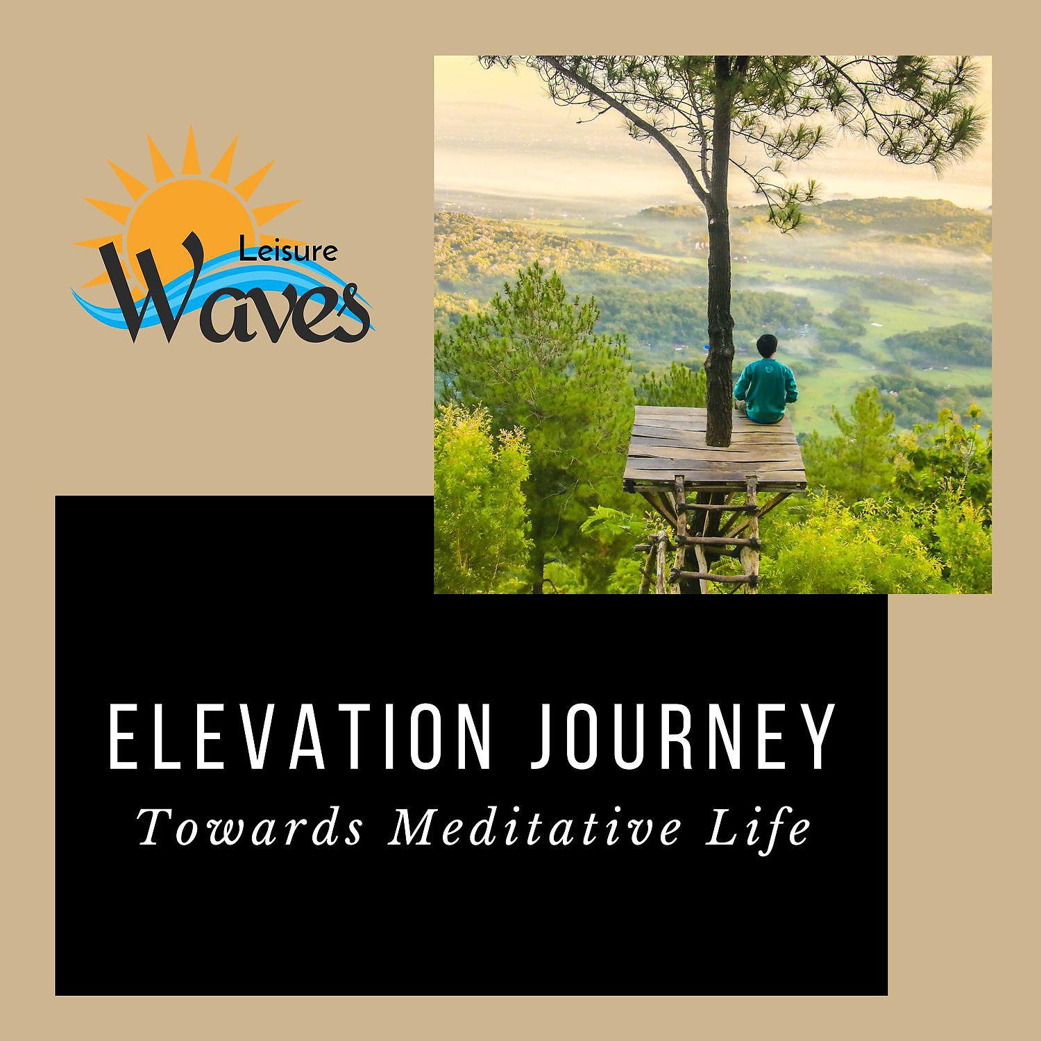 Постер альбома Elevation Journey - Towards Meditative Life