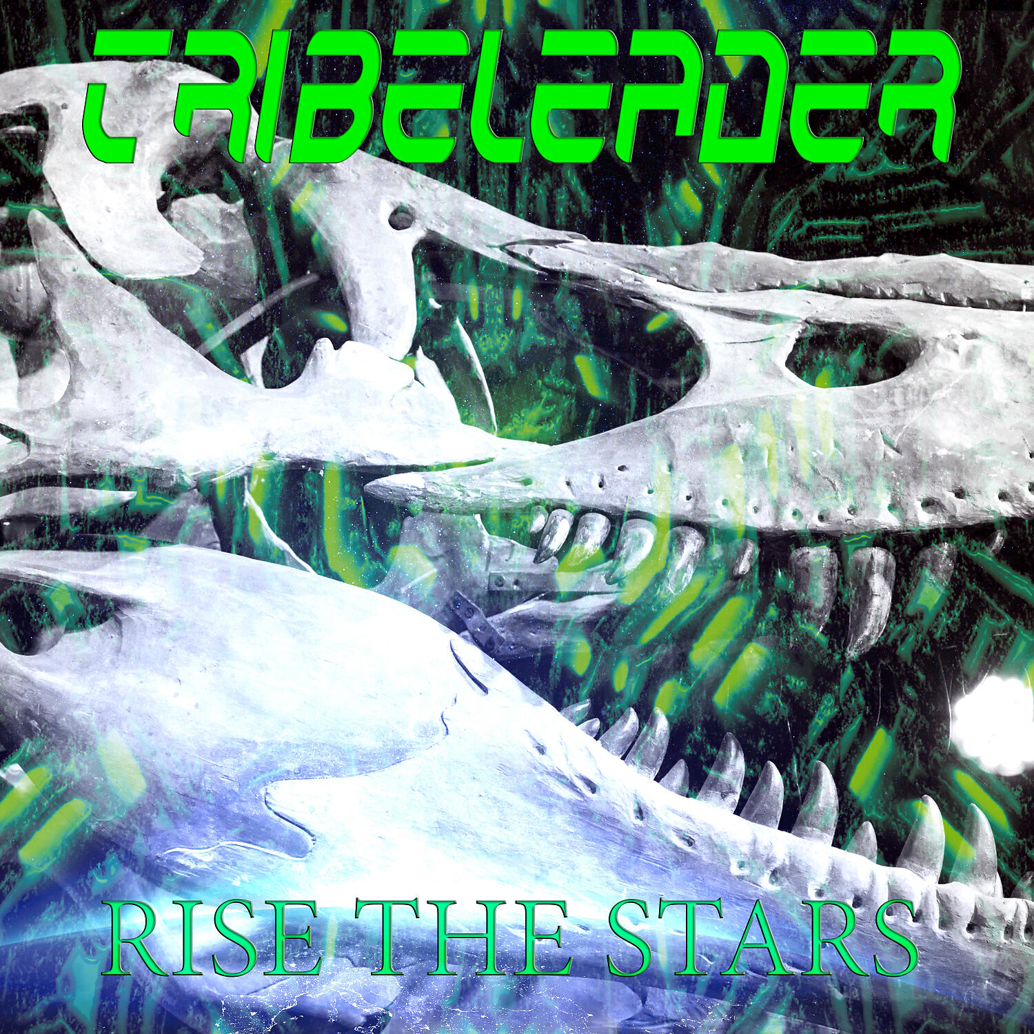 Tribeleader - Rise The Stars (Cloudbounce)