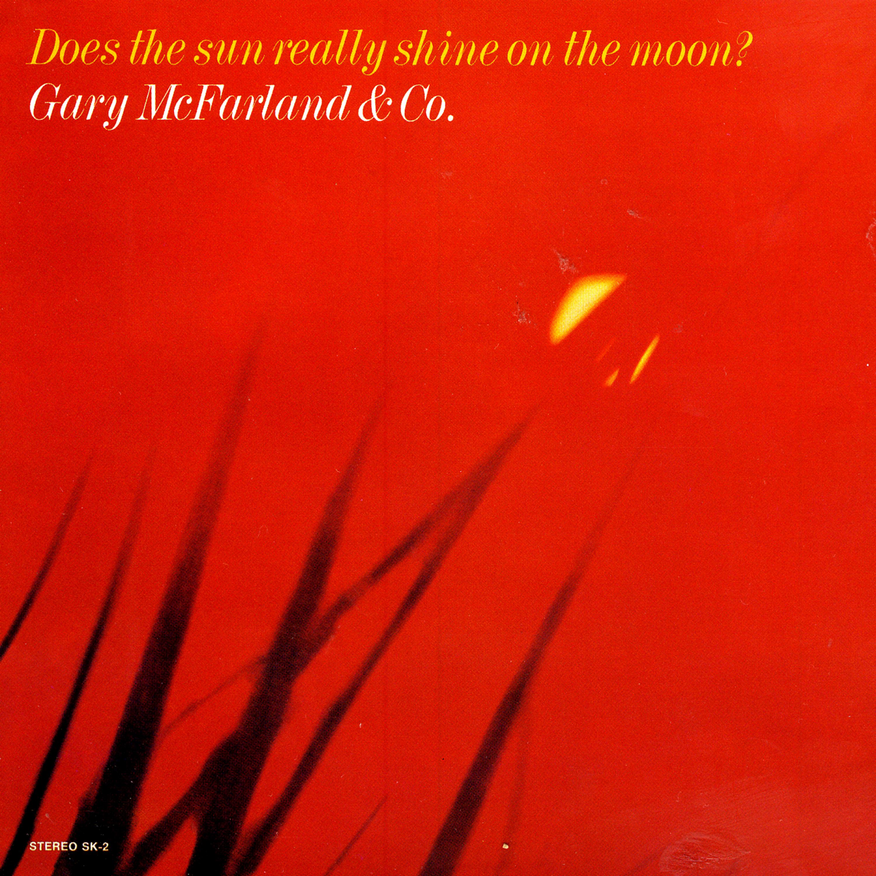 Постер альбома Does The Sun Really Shine On The Moon?