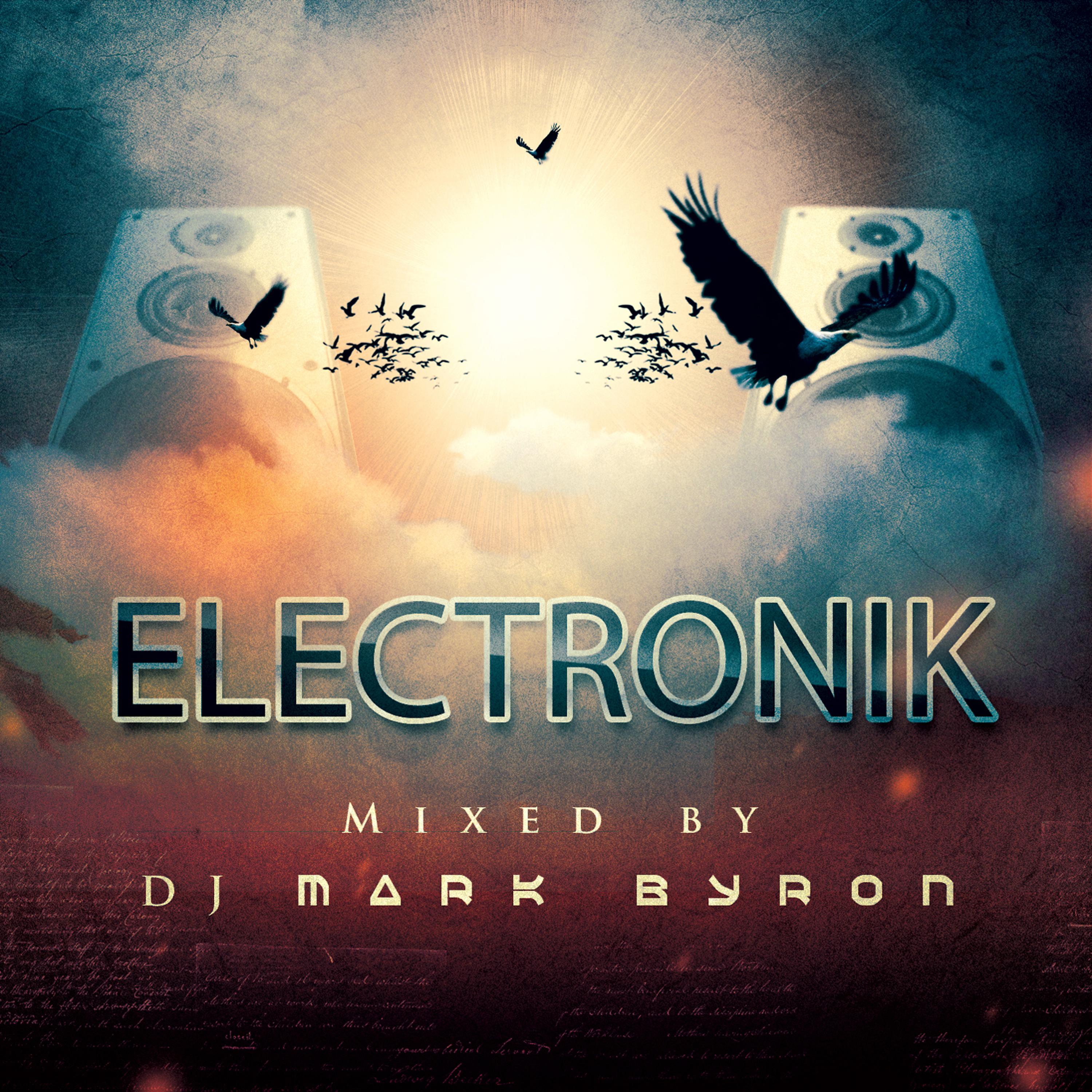 Постер альбома Electronik