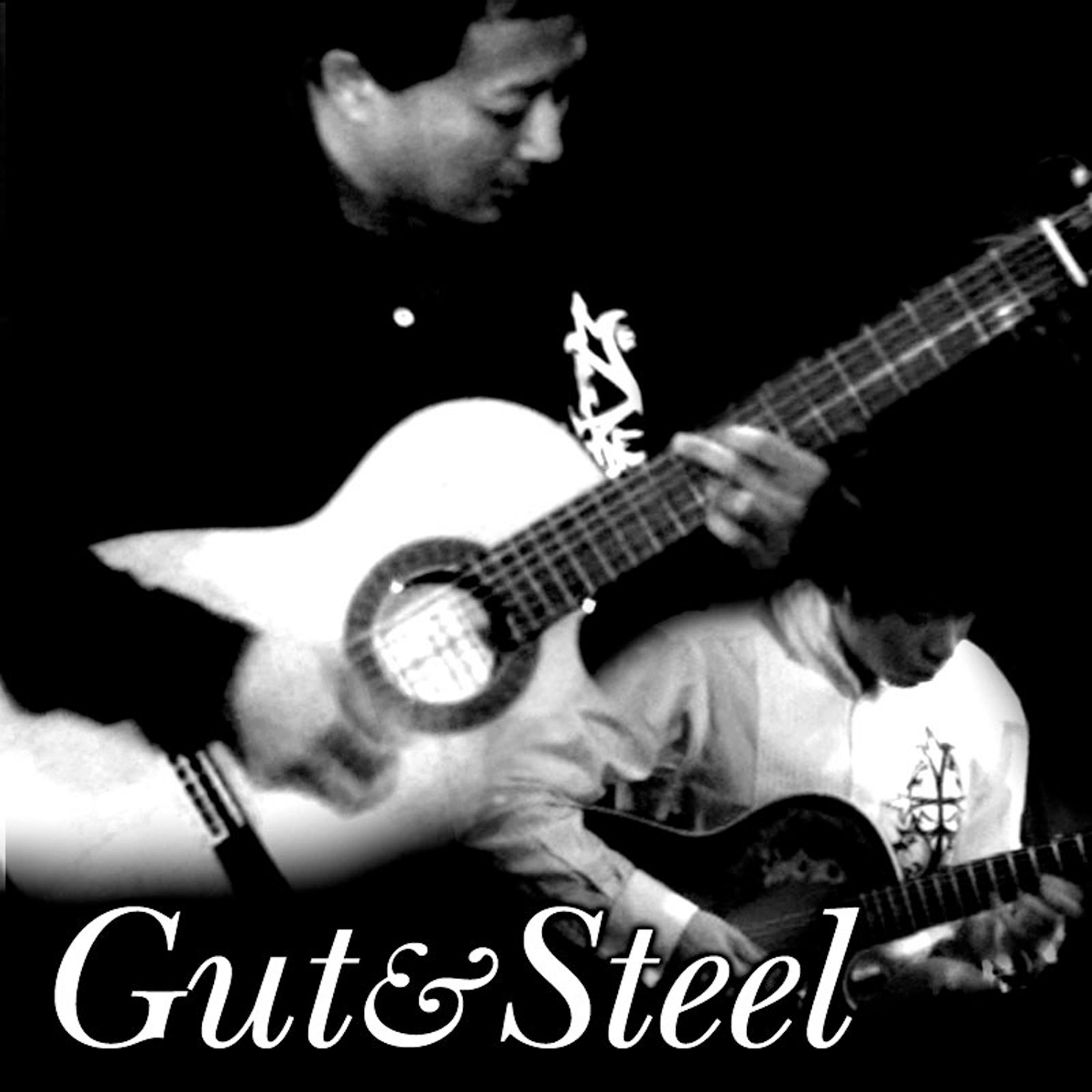 Постер альбома Gut&Steel