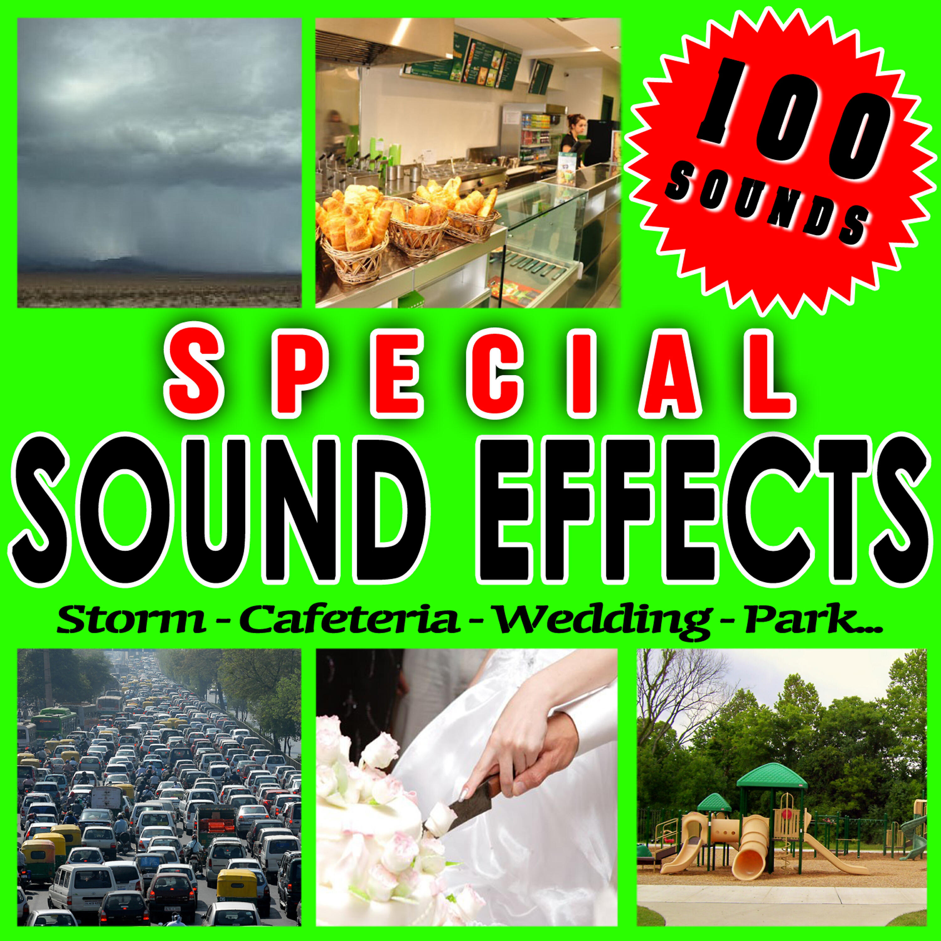 Sfx Professional Resource Studio - Swell. See. Works. Urban Noise