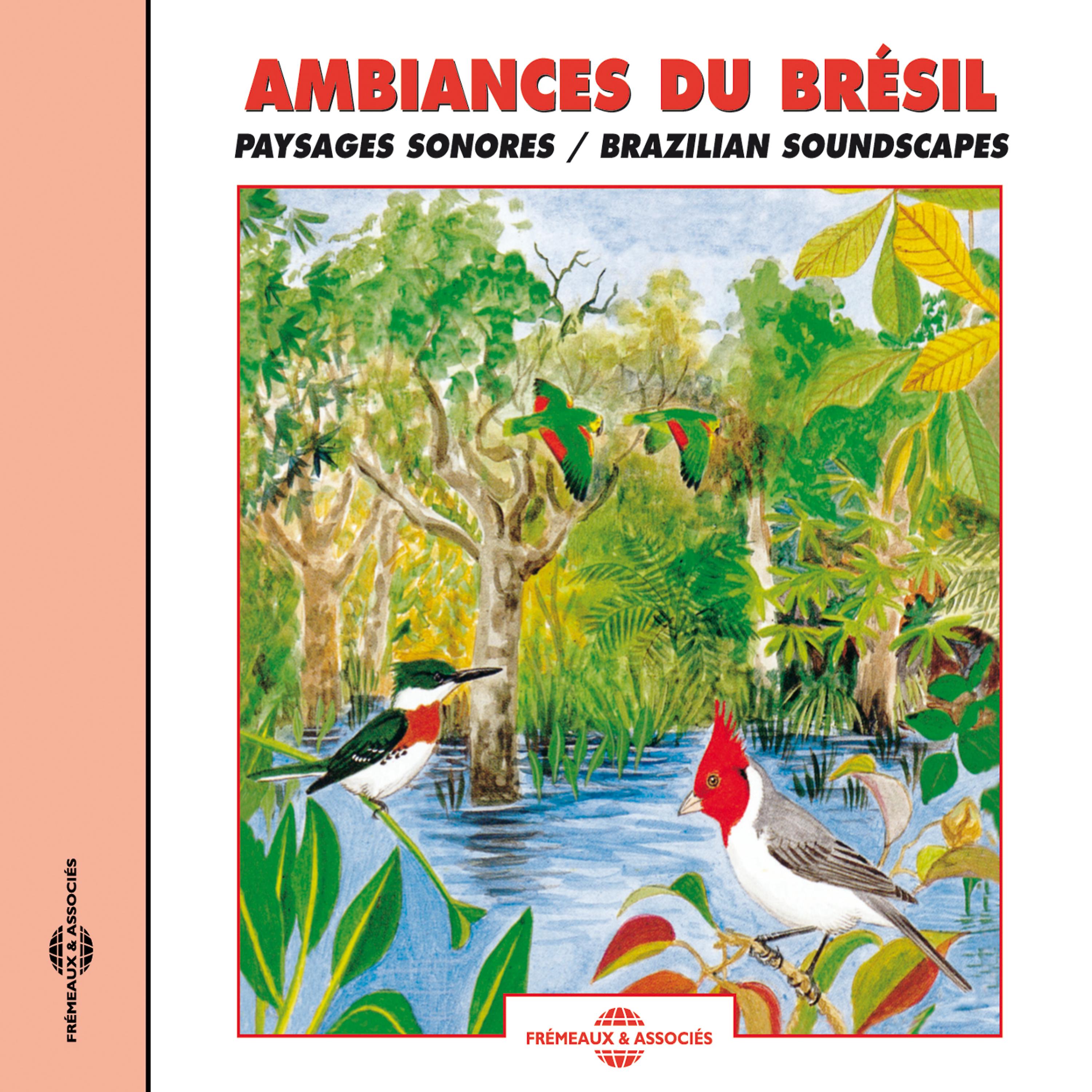 Постер альбома Brazilian Sounds Of Natures