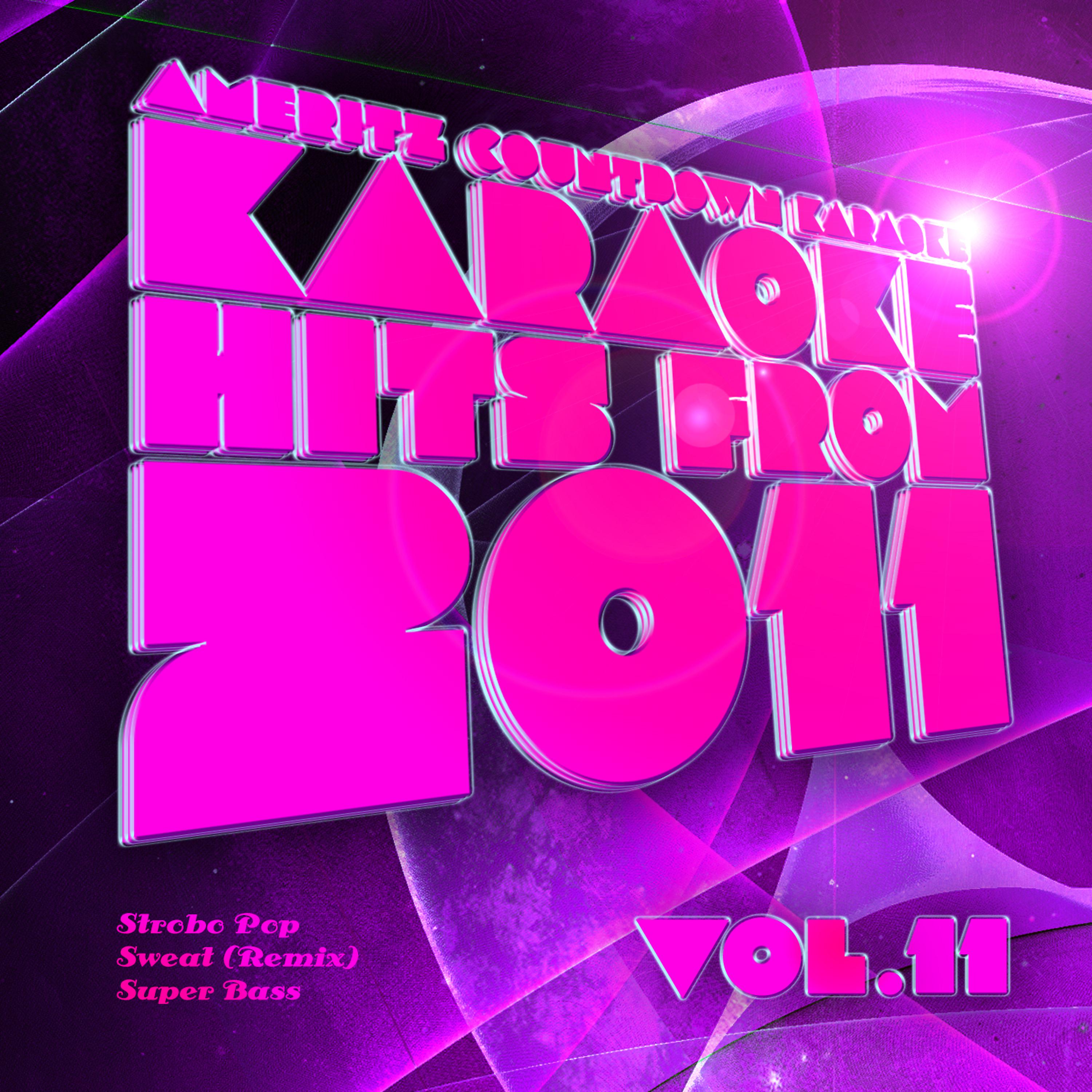 Постер альбома Karaoke Hits from 2011, Vol. 11