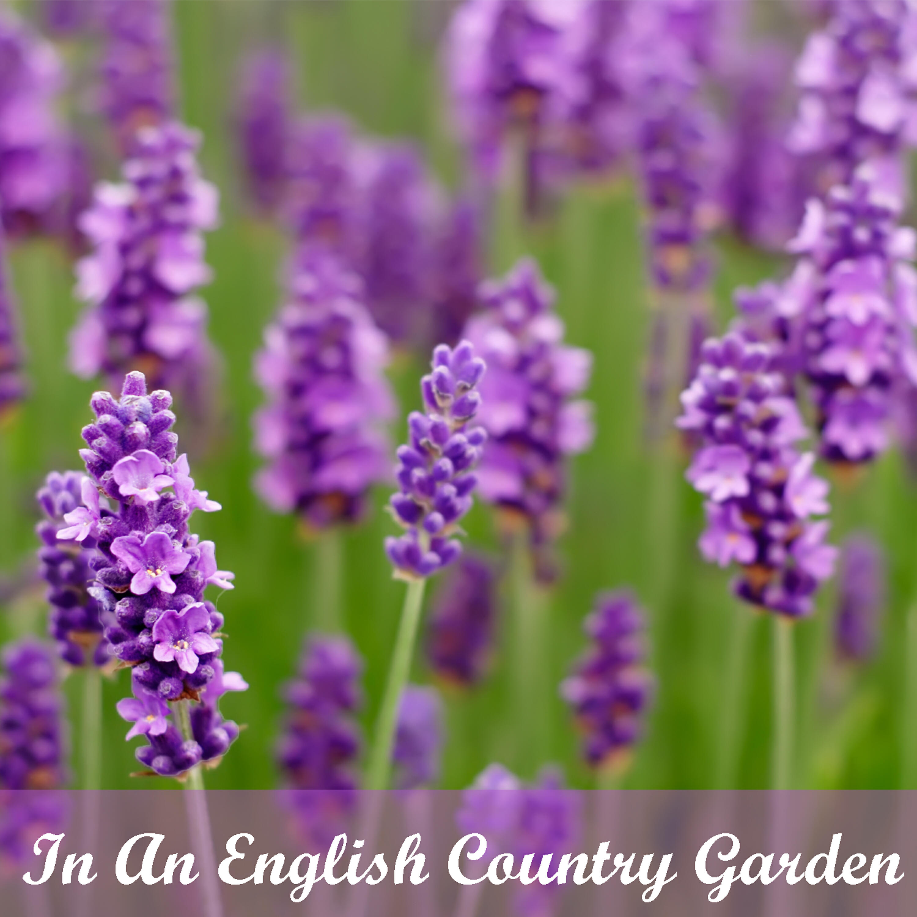 Jane Hartley acc Tim Carey - In And English Country Garden