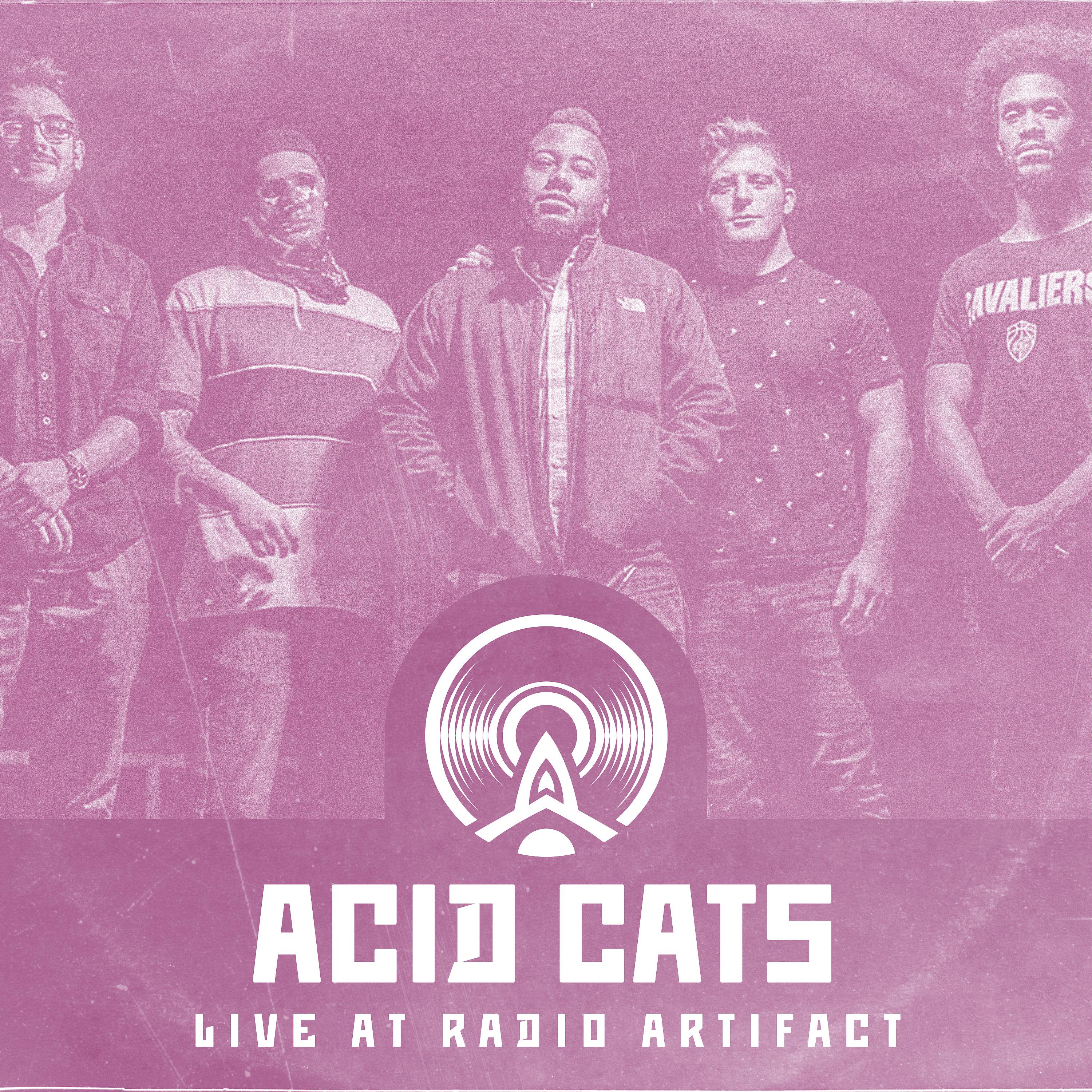 Постер альбома Acid Cats - Live at Radio Artifact