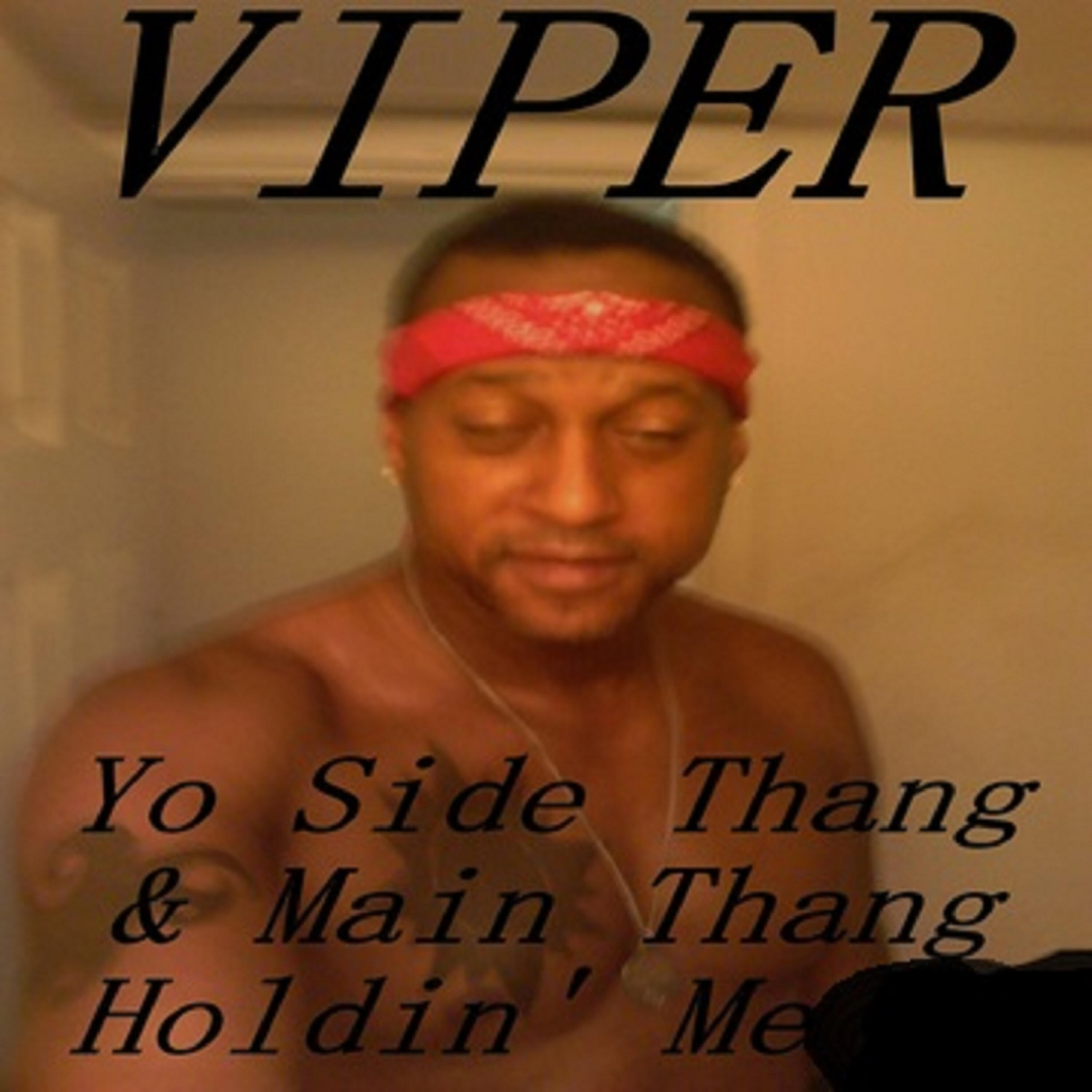 Viper - Asat