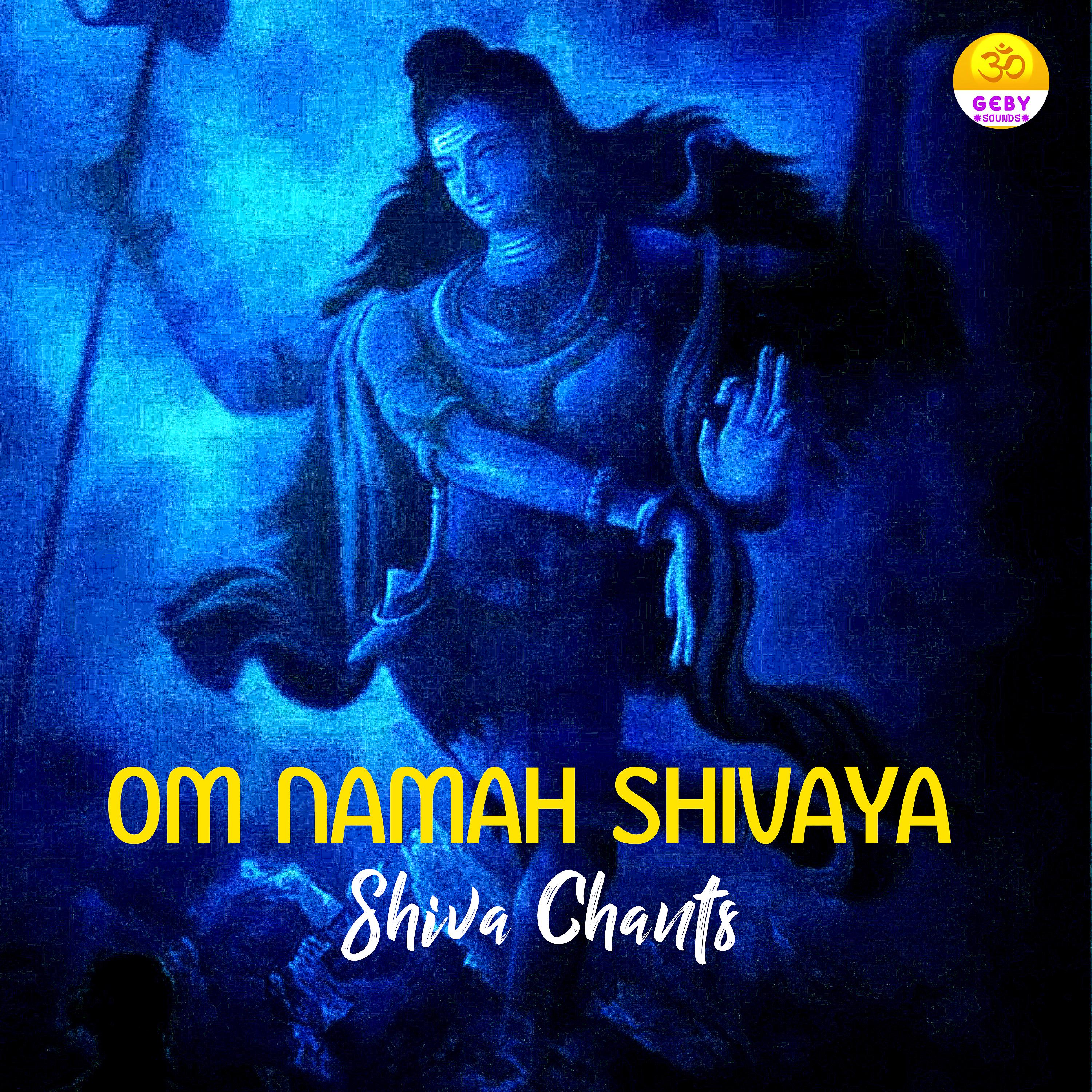 Постер альбома Om Namah Shivaya (Shiva Chants)