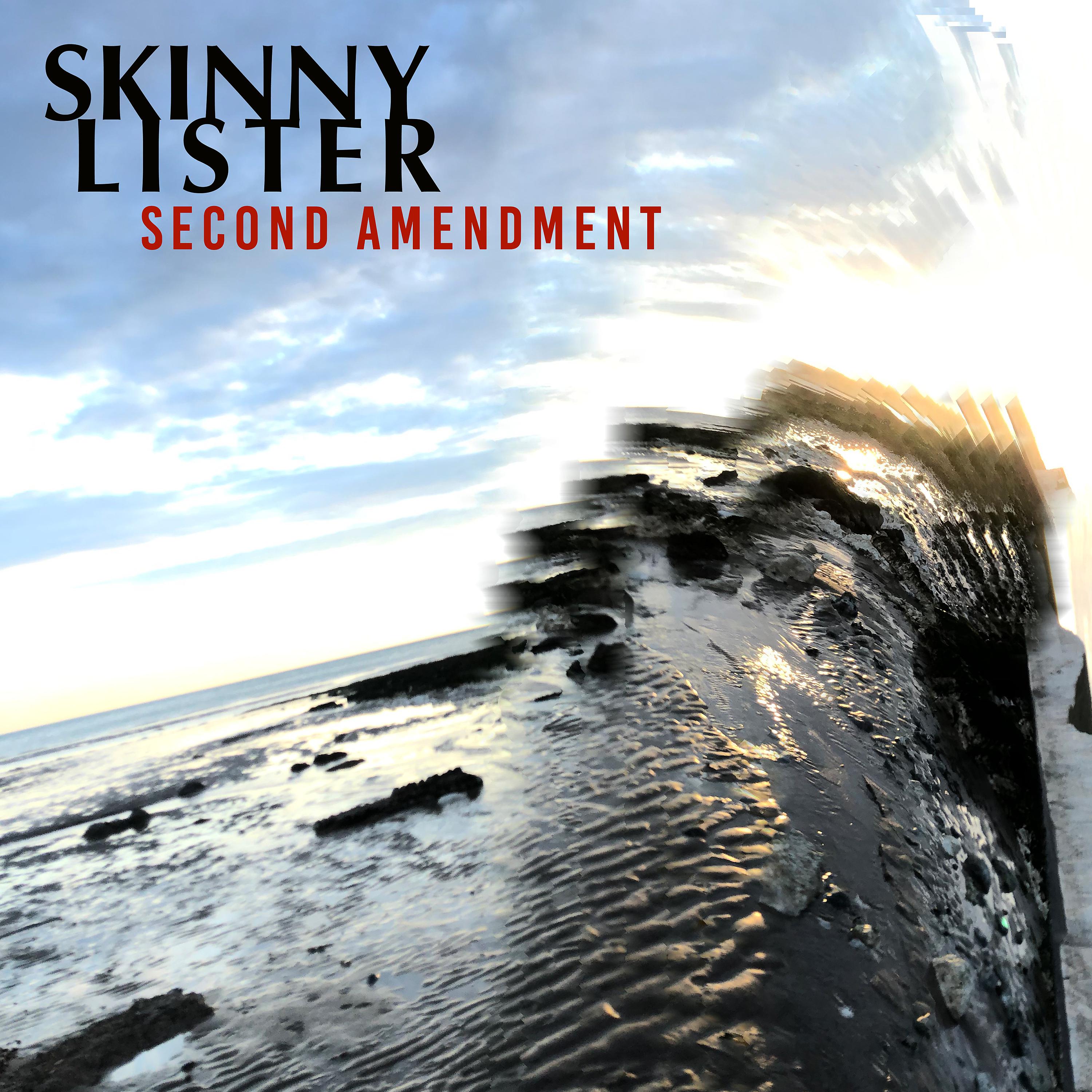 Постер альбома Second Amendment (Single Version)