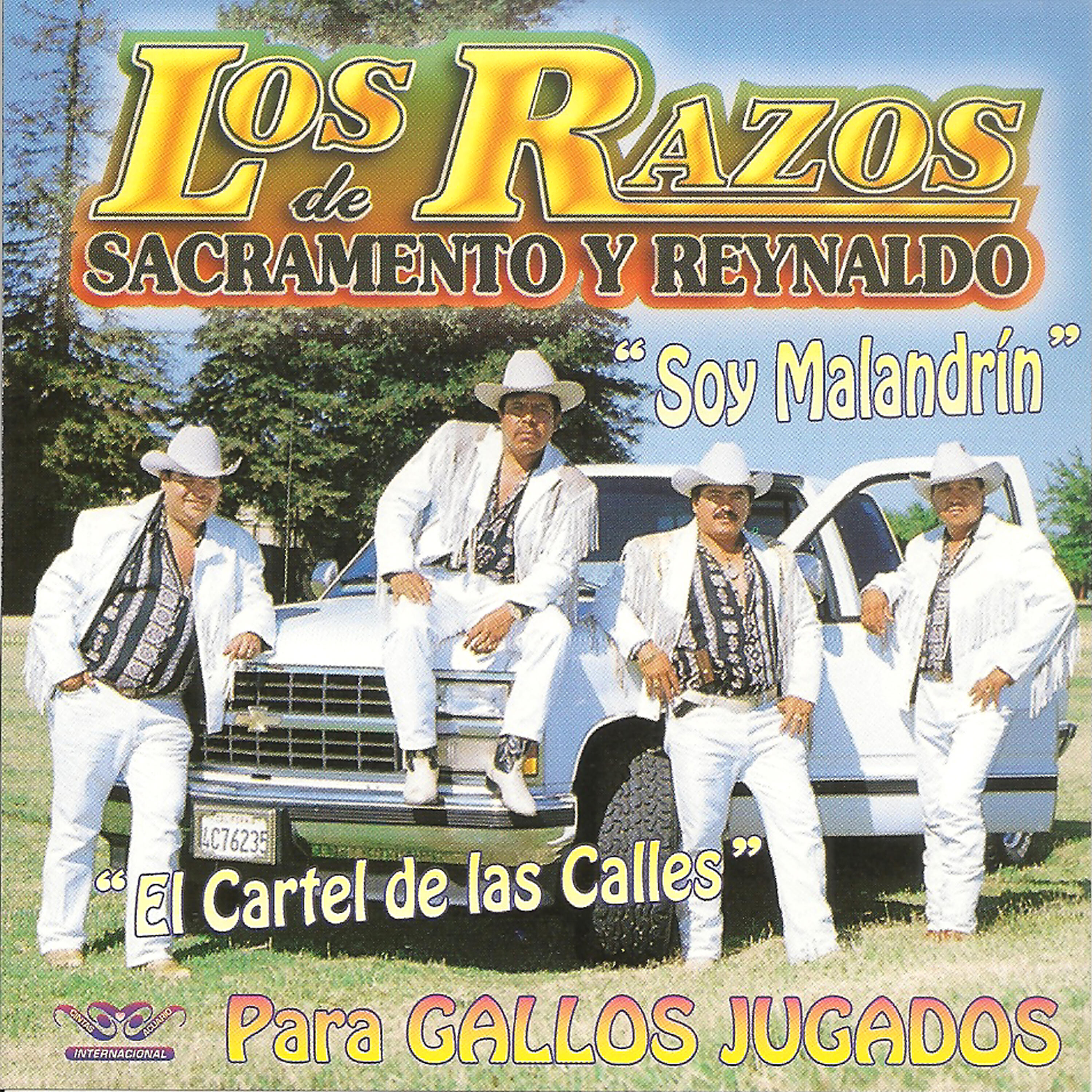 Los Razos - La Fuga de un Sinaloense