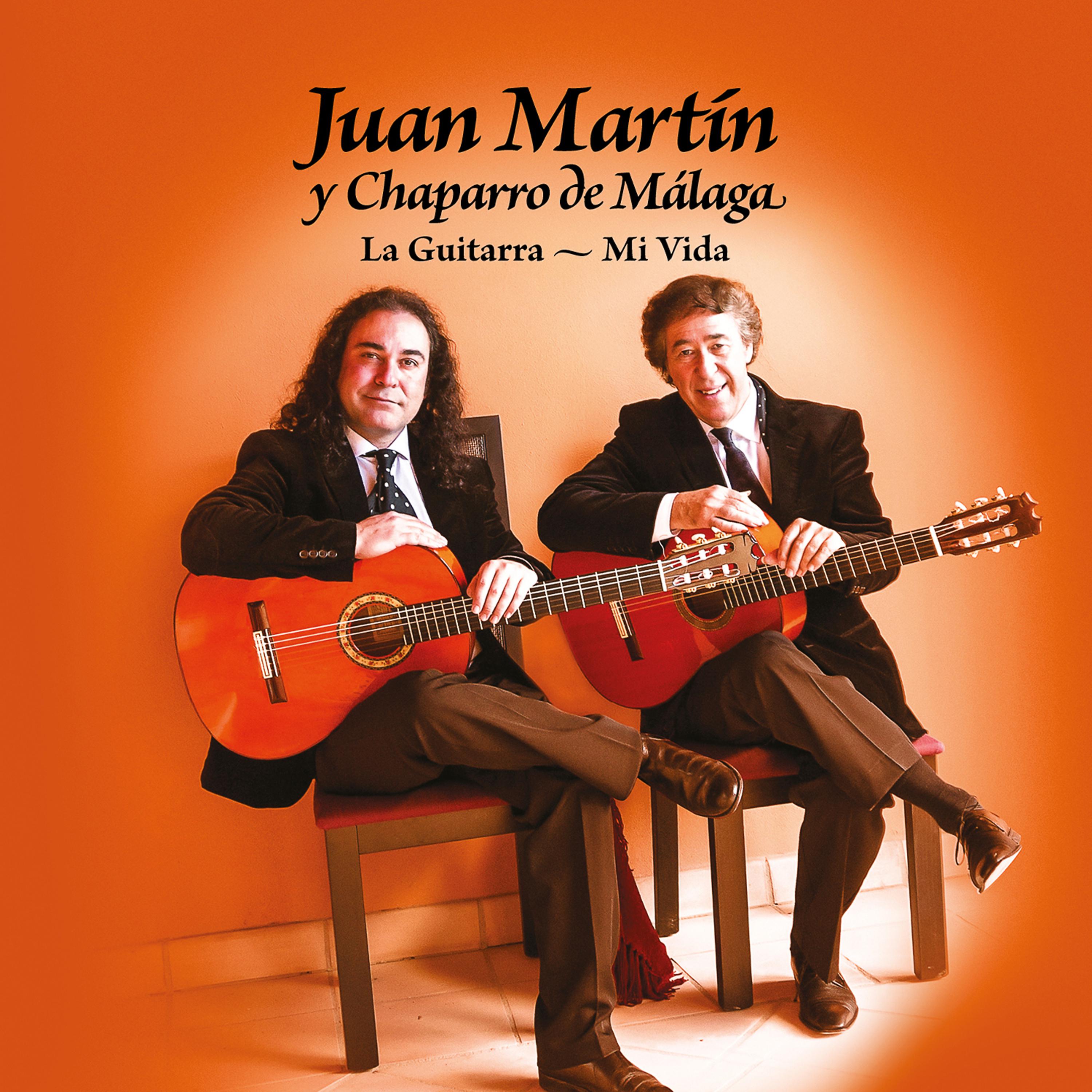 Постер альбома La Guitarra - Mi Vida