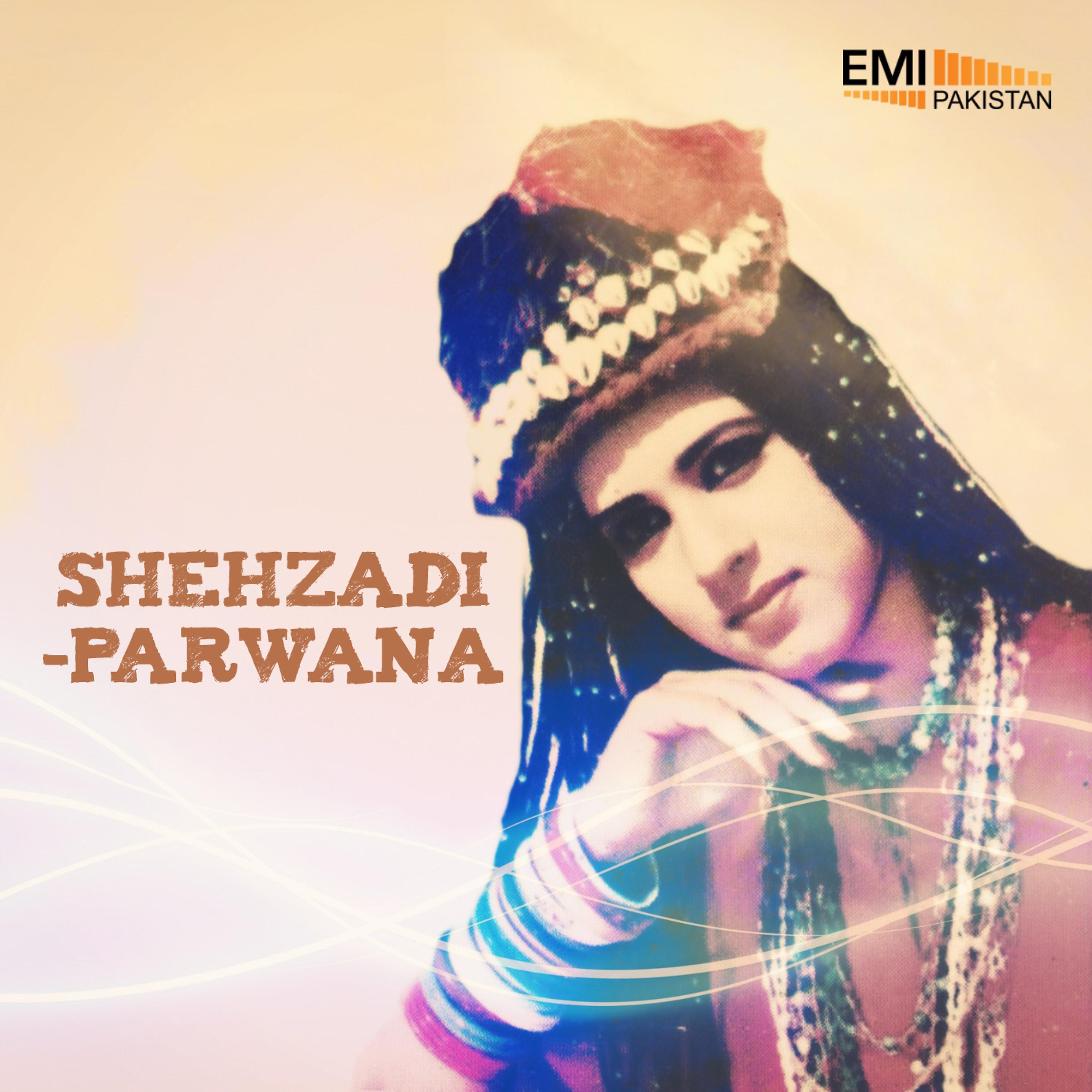 Постер альбома Shehzadi - Parwana