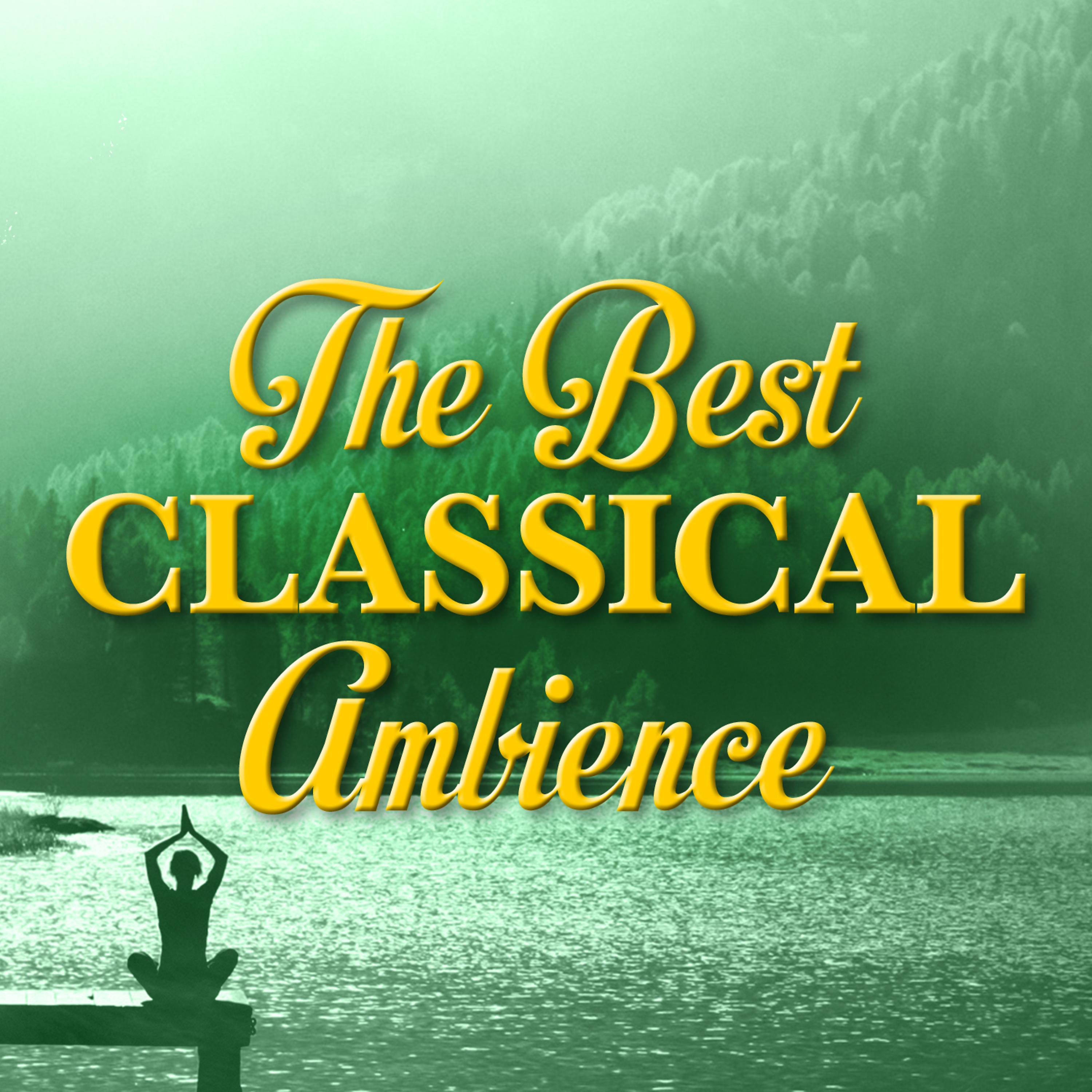 Постер альбома The Best Classical Ambience