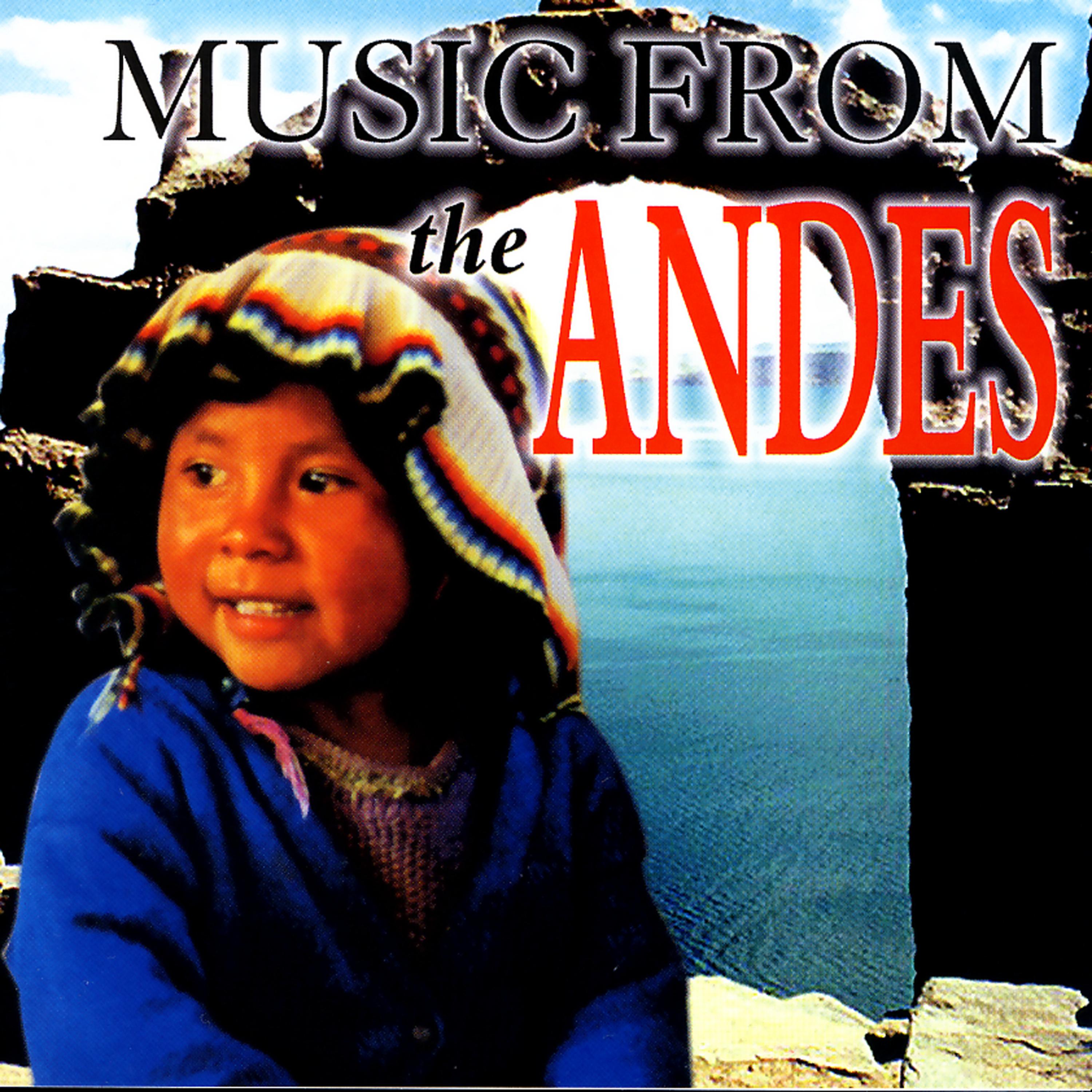 Постер альбома MUSIC FROM ANDES