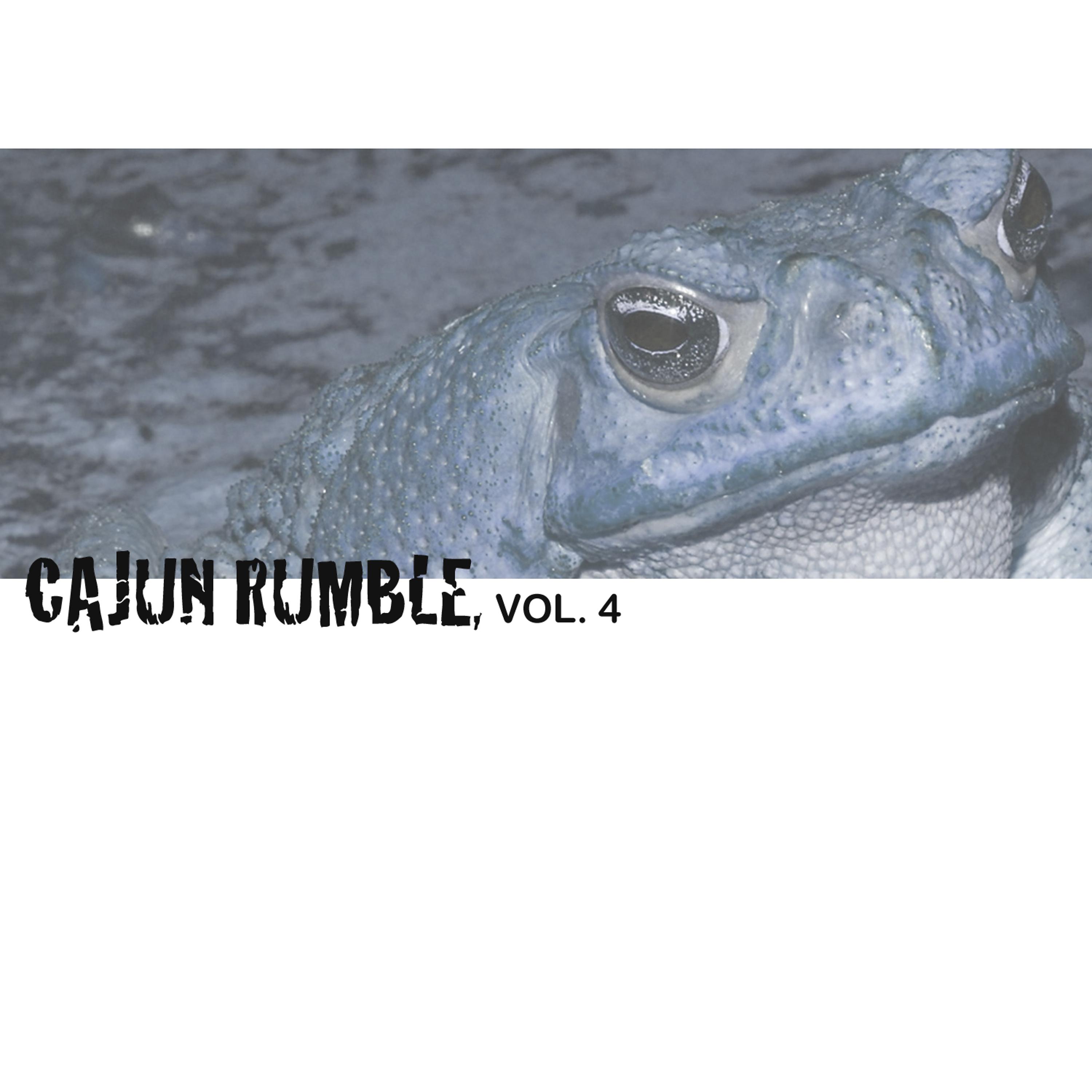 Постер альбома Cajun Rumble, Vol. 4