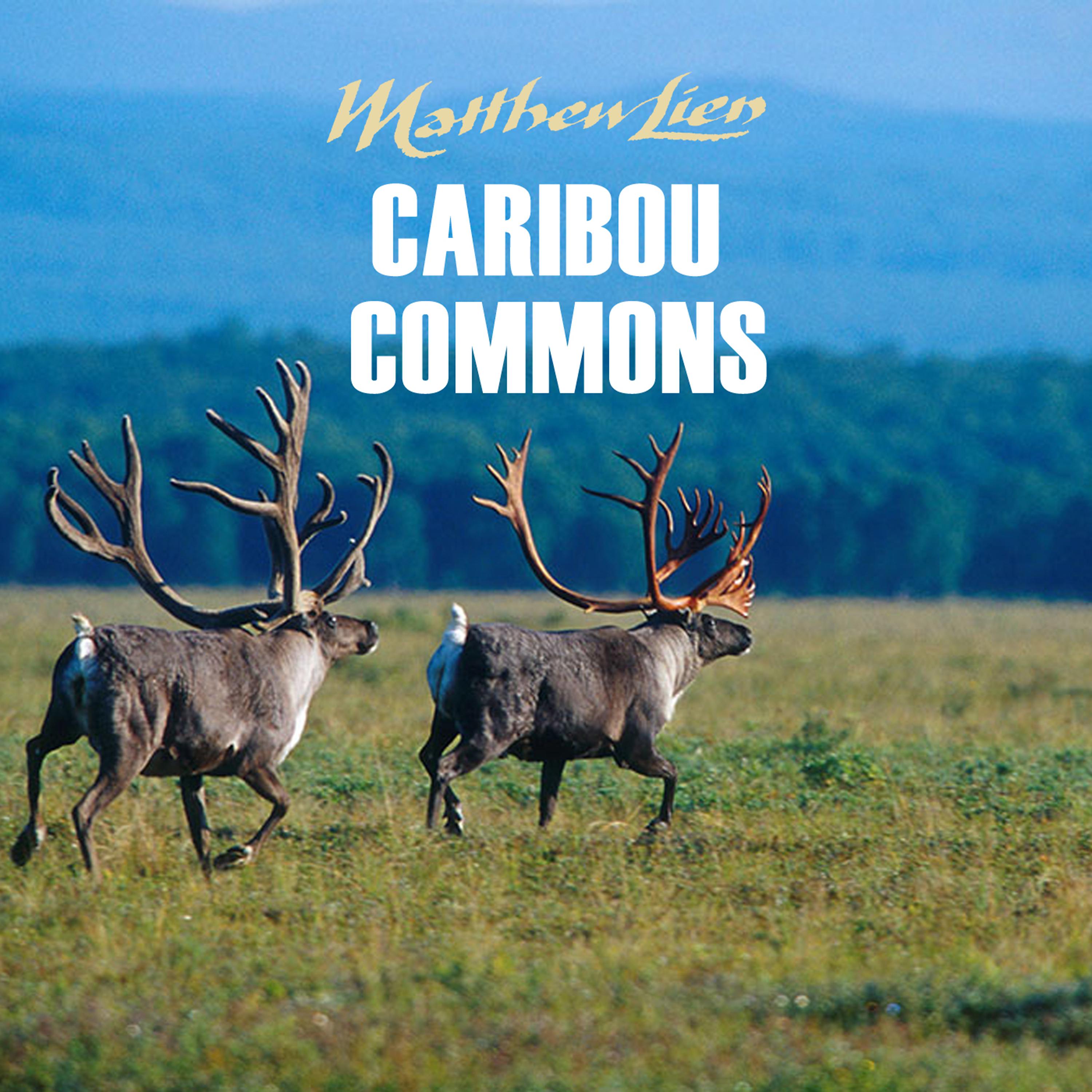 Постер альбома Caribou Commons