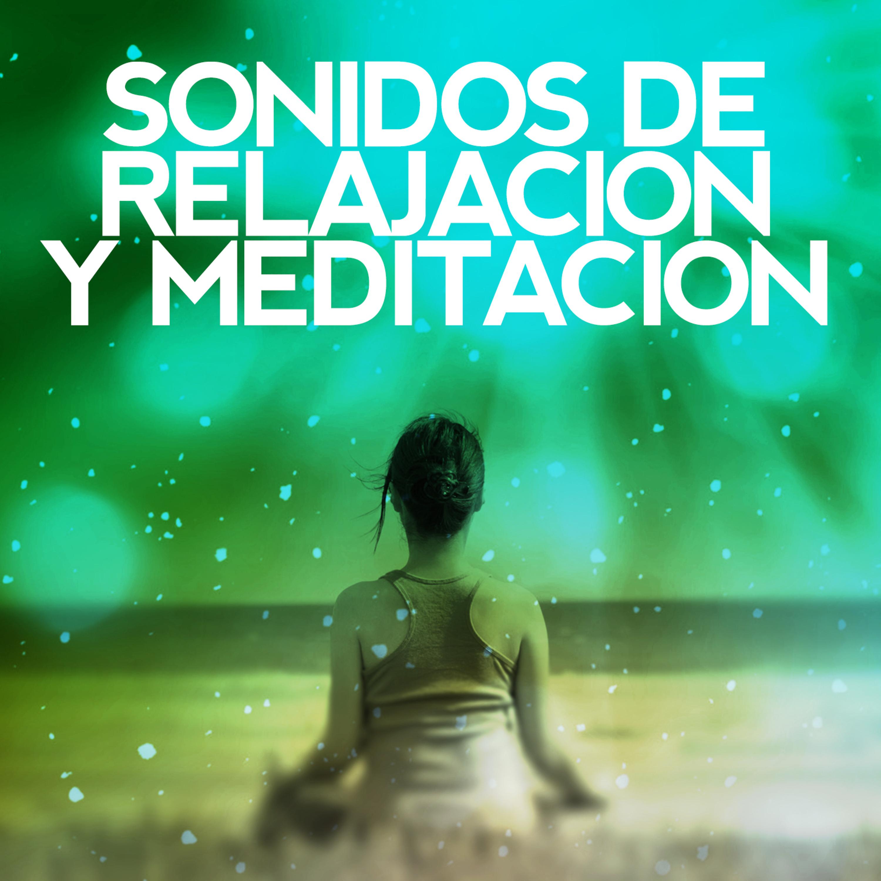 Постер альбома Sonidos de Relajación y Meditación