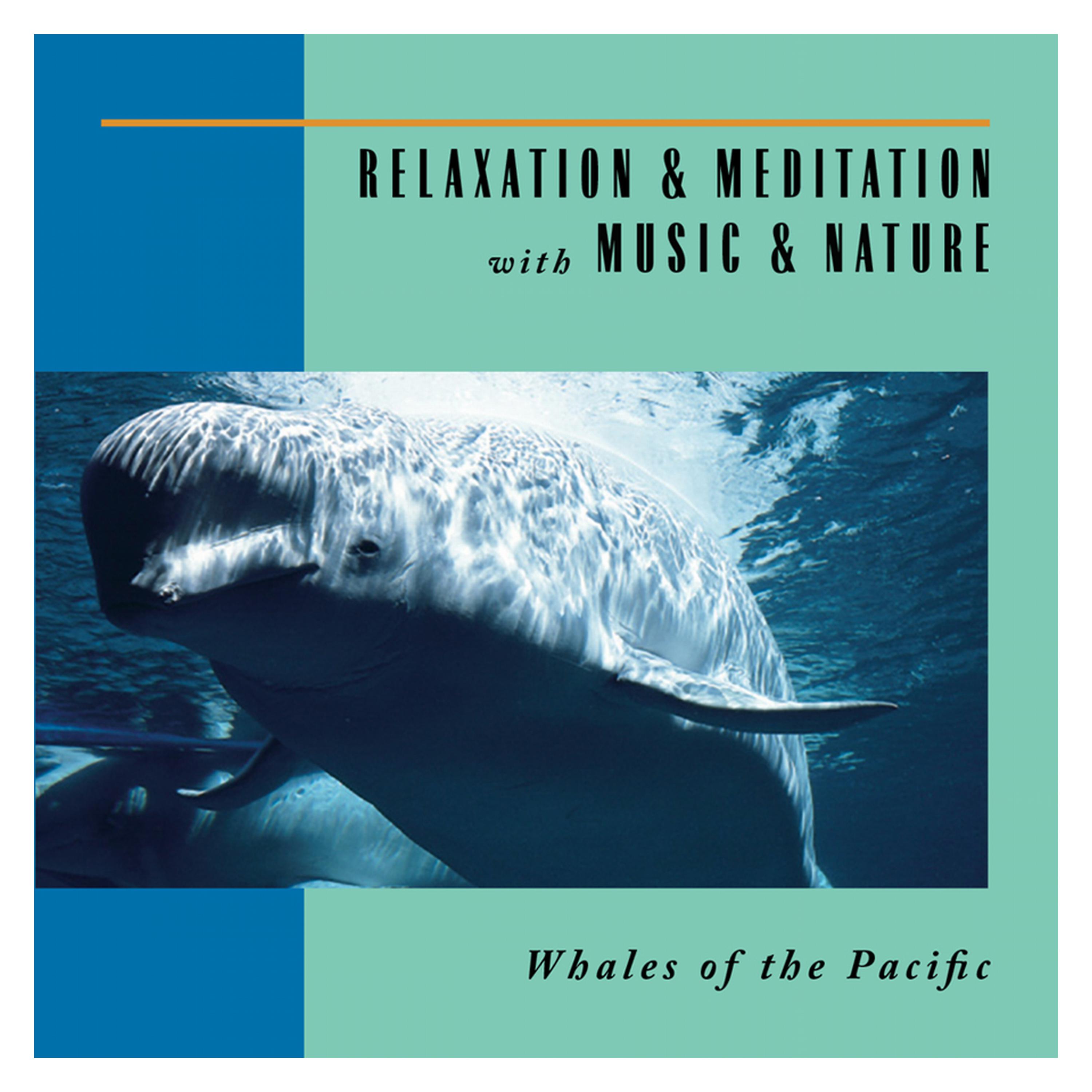 Постер альбома Whales Of The Pacific