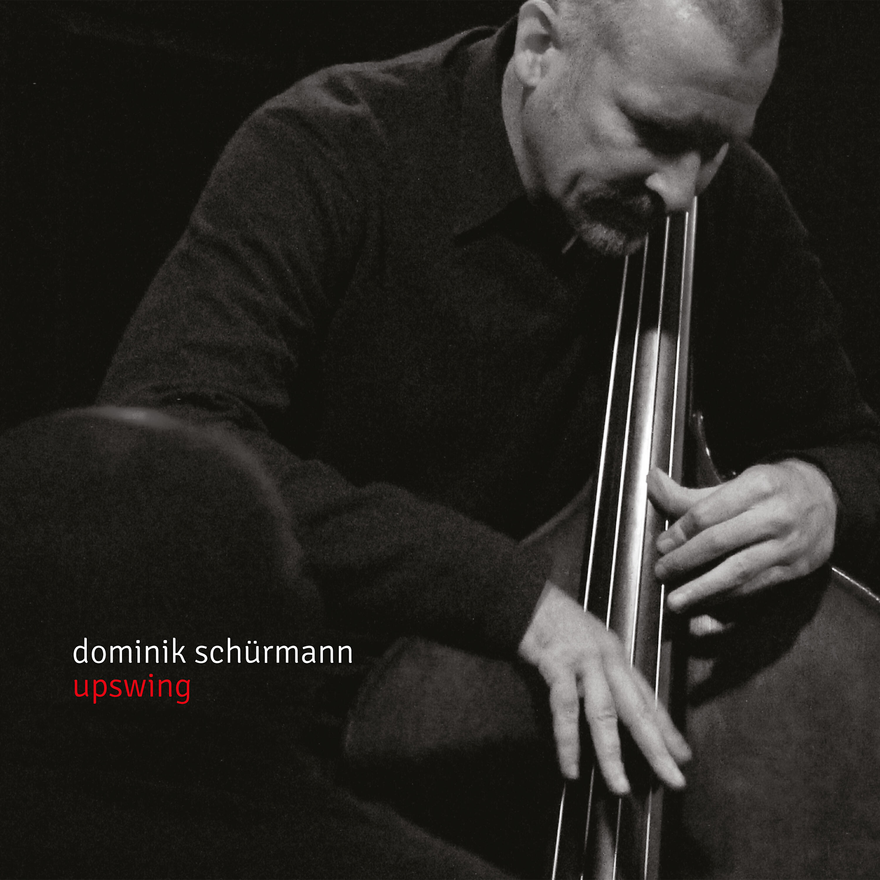 Dominik Schürmann - Mister D.S.