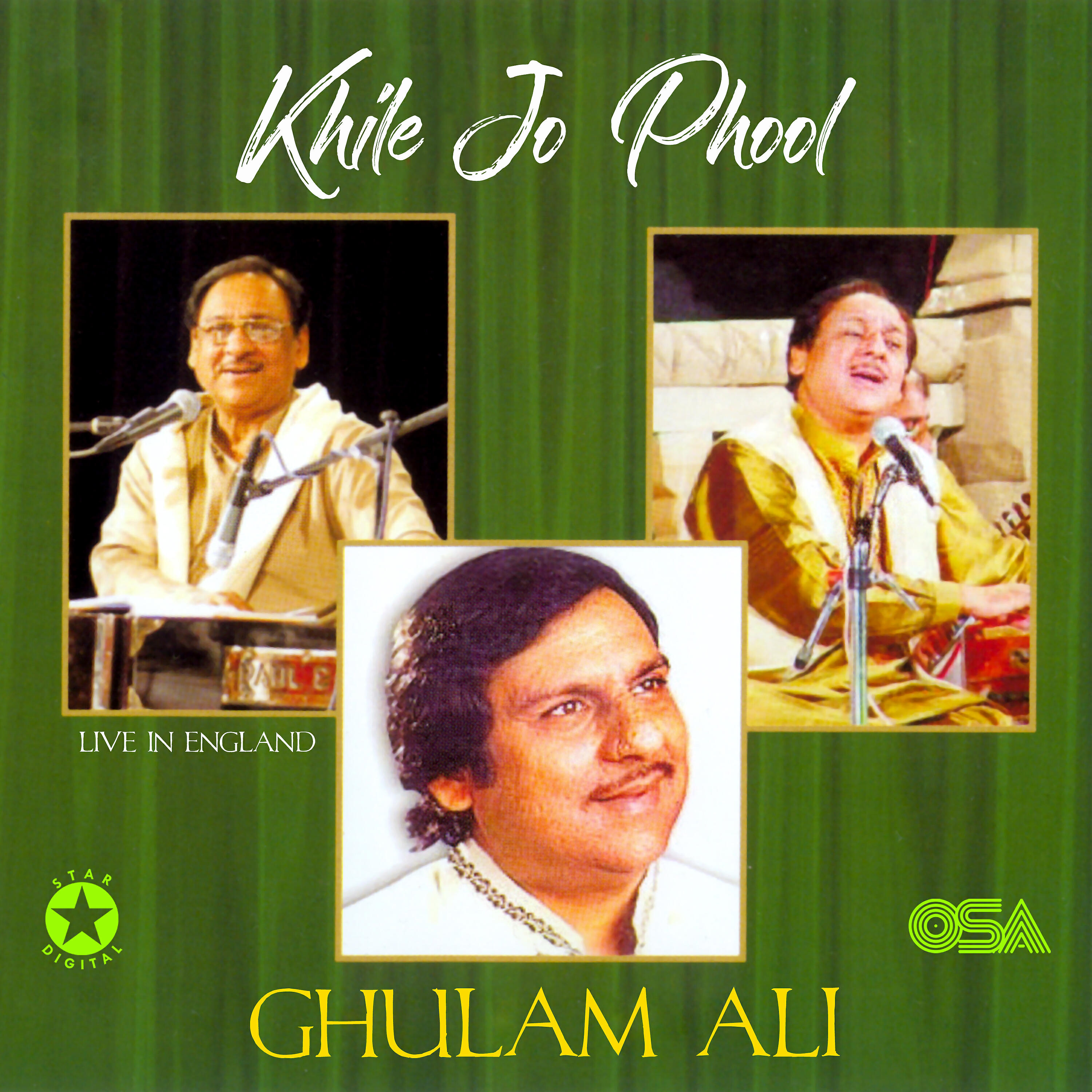 Ghulam Ali - Khile Jo Phool To (Live)