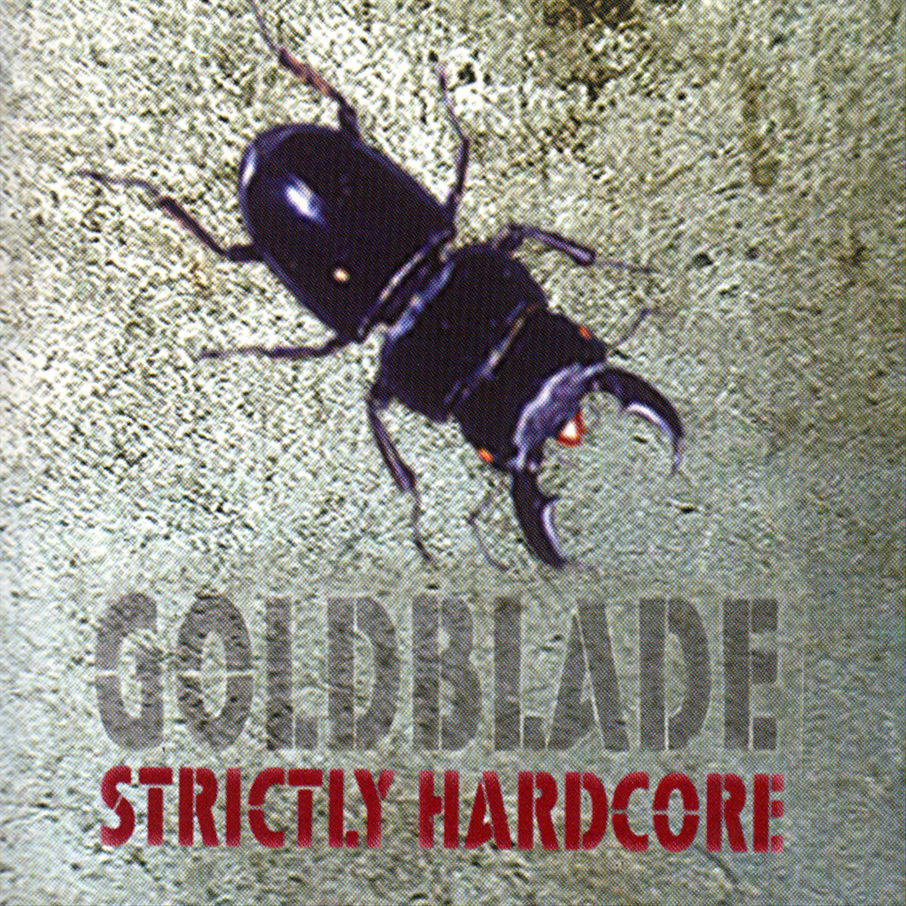Постер альбома Strictly Hardcore