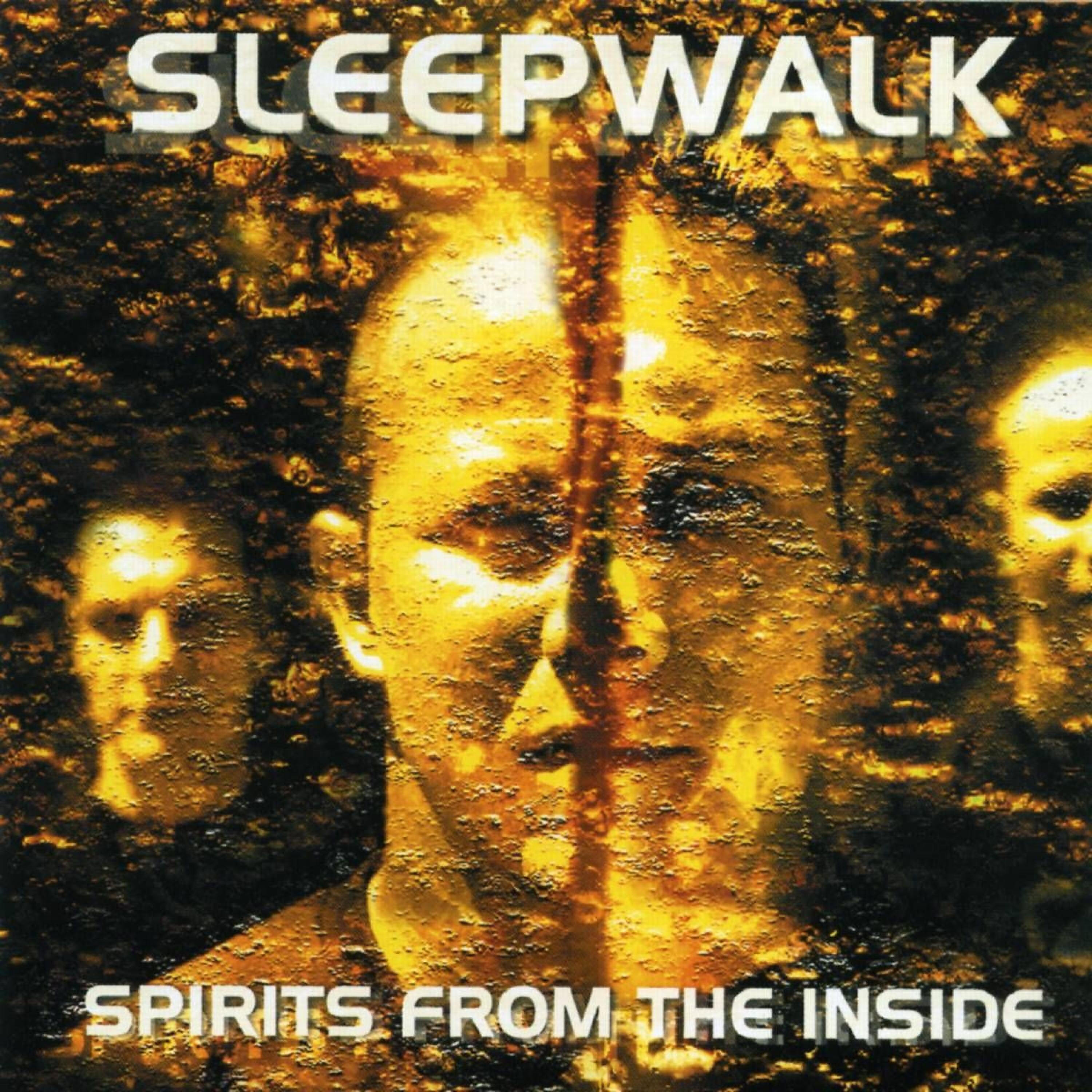 Sleepwalk - Tinitus