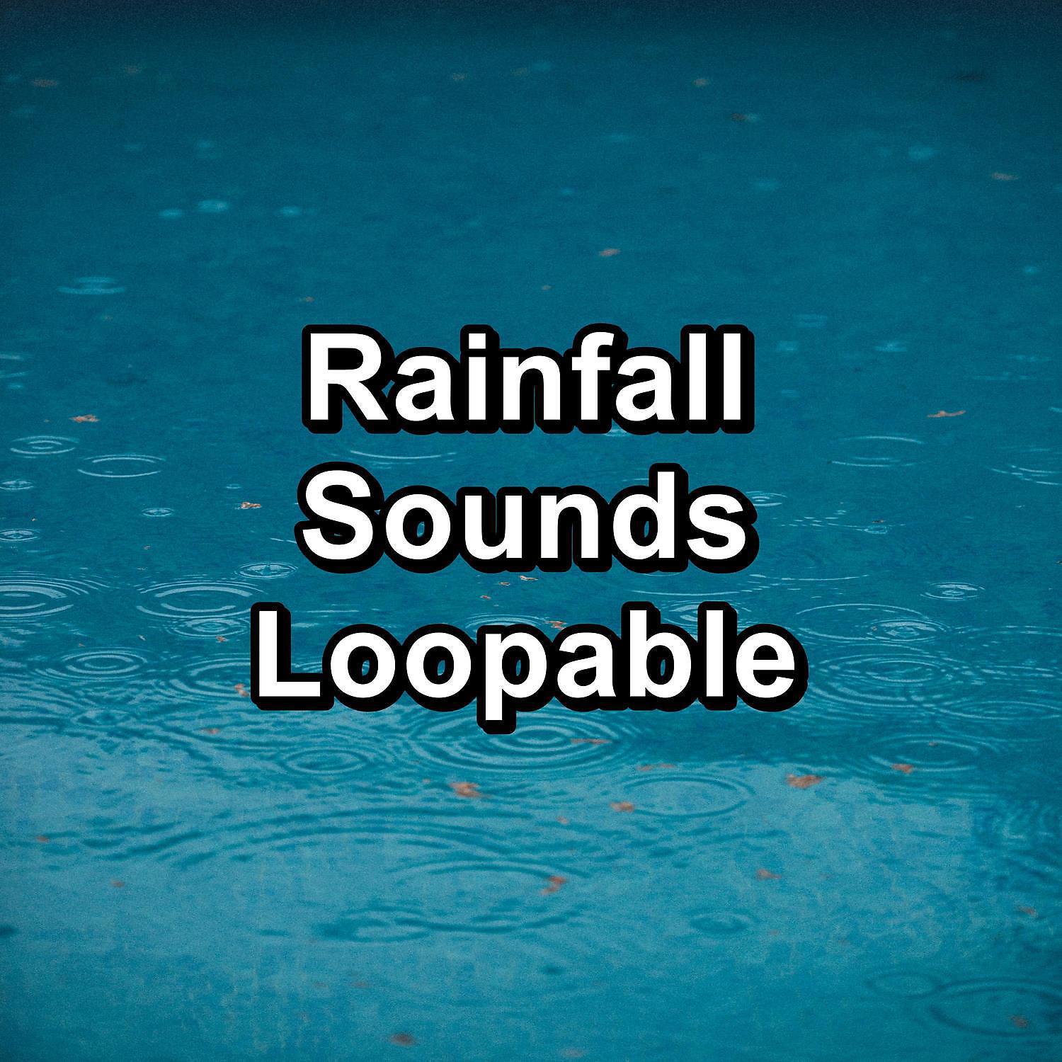 Rain Meditation - Rain With Ocean Waves Pure Sounds to Help Insomnia