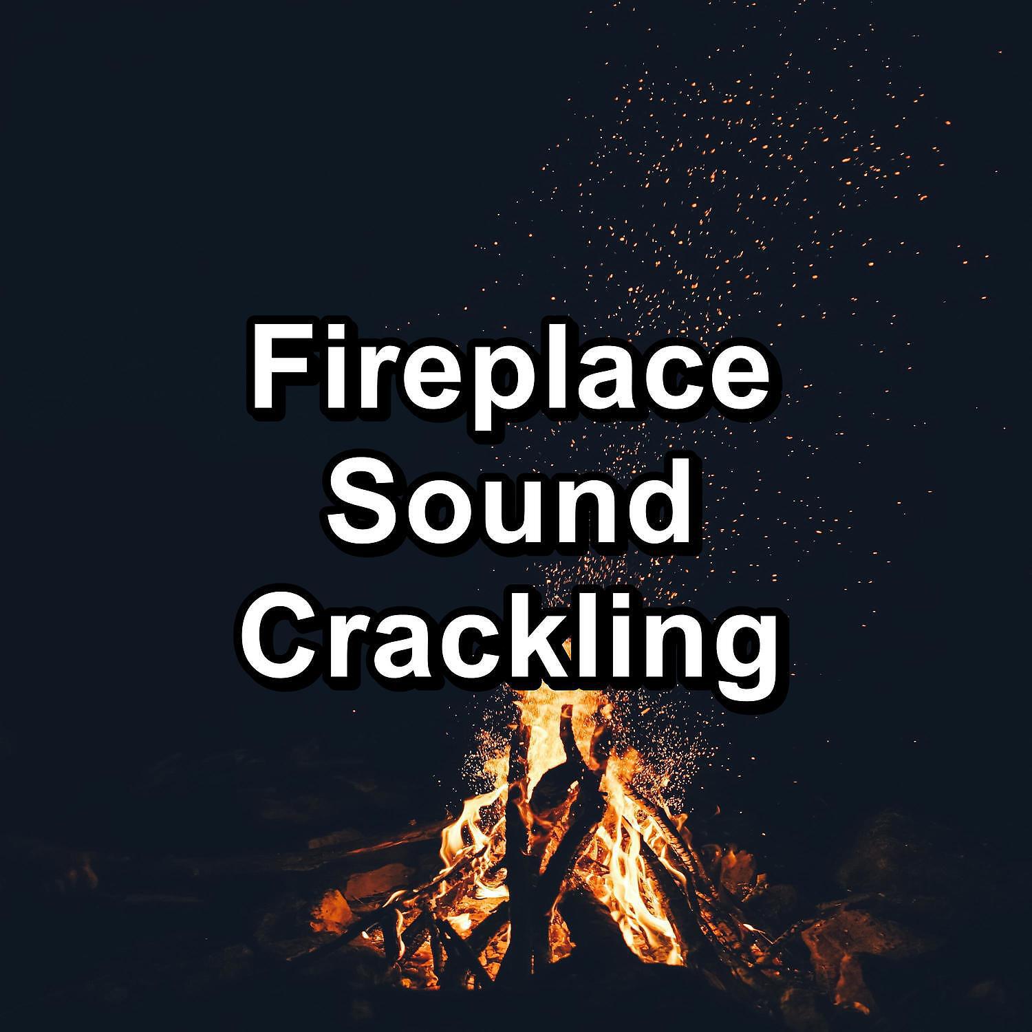 Fireplace FX Studio - ASMR Camp Fires Sound