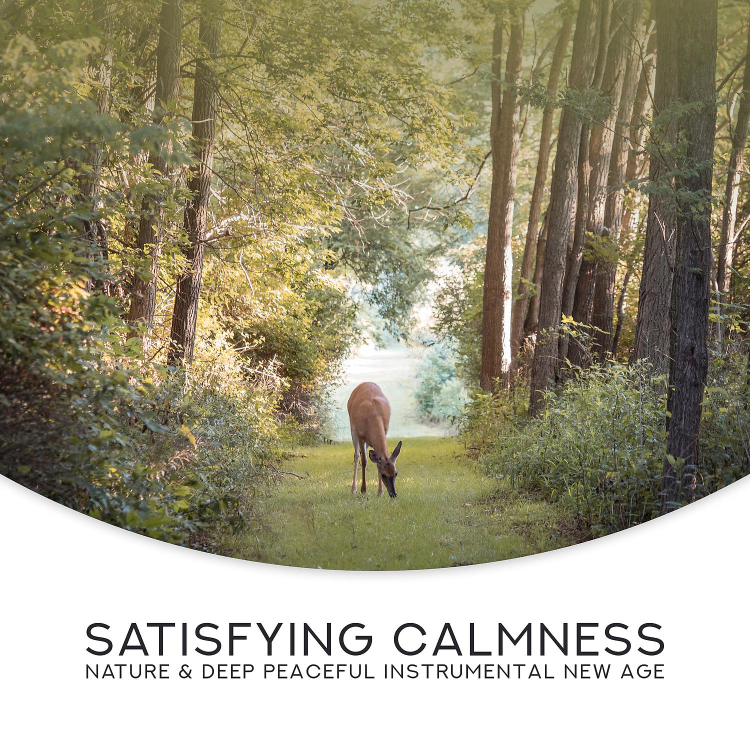 Постер альбома Satisfying Calmness: Nature & Deep Peaceful Instrumental New Age